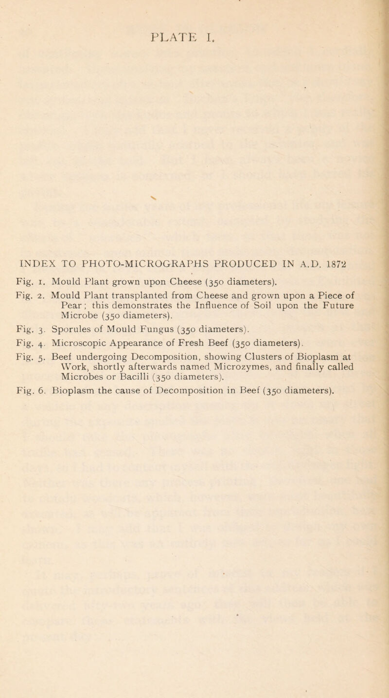 ■N, INDEX TO PHOTO-MICROGRAPHS PRODUCED IN A.D. 187*2 Fig. i. Mould Plant grown upon Cheese (350 diameters). Fig. 2. Mould Plant transplanted from Cheese and grown upon a Piece of Pear; this demonstrates the Influence of Soil upon the Future Microbe (350 diameters). Fig. 3. Sporules of Mould Fungus (350 diameters). Fig. 4. Microscopic Appearance of Fresh Beef (350 diameters). Fig. 5. Beef undergoing Decomposition, showing Clusters of Bioplasm at Work, shortly afterwards named Microzymes, and finally called Microbes or Bacilli (350 diameters). Fig. 6. Bioplasm the cause of Decomposition in Beef (350 diameters).