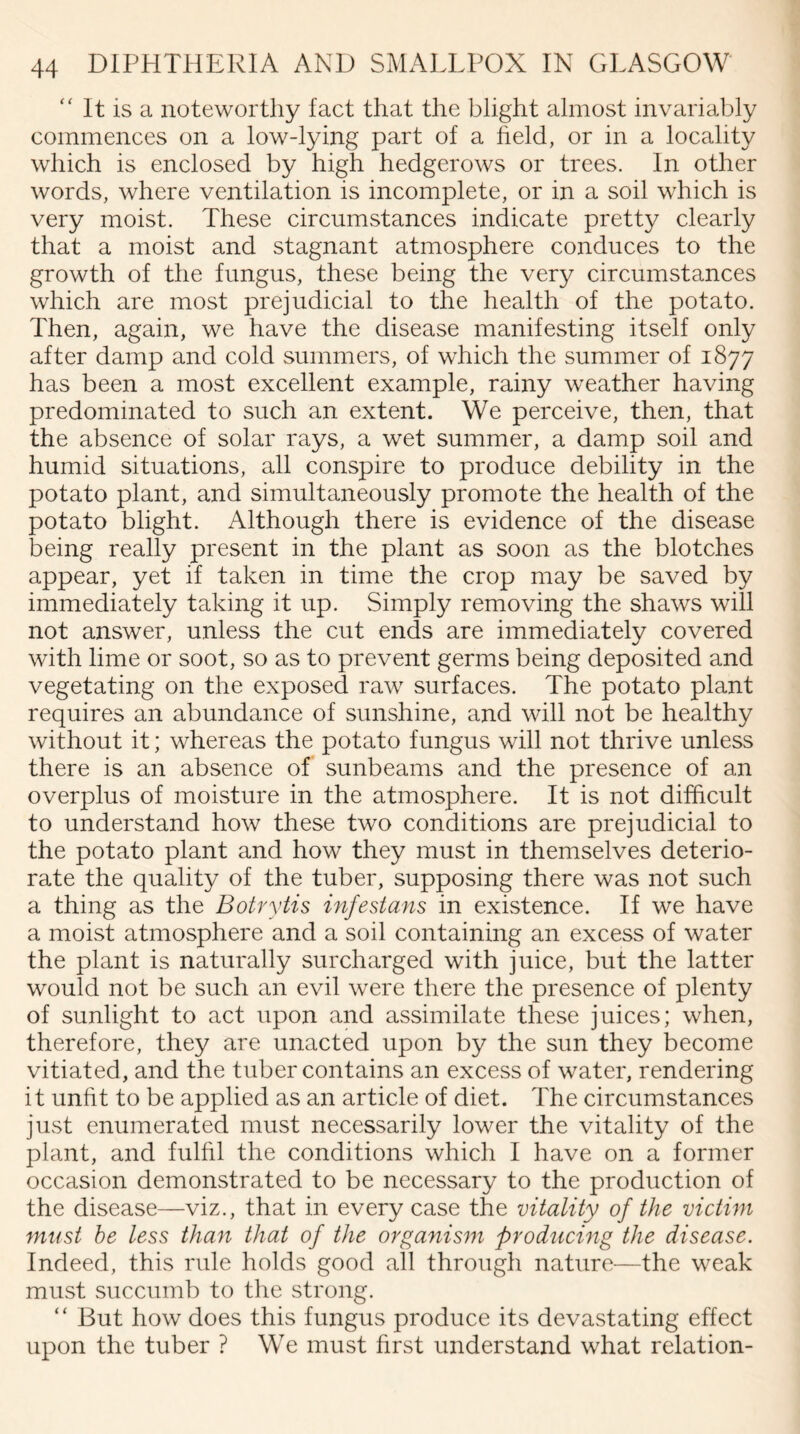 “ It is a noteworthy fact that the blight almost invariably commences on a low-lying part of a held, or in a locality which is enclosed by high hedgerows or trees. In other words, where ventilation is incomplete, or in a soil which is very moist. These circumstances indicate pretty clearly that a moist and stagnant atmosphere conduces to the growth of the fungus, these being the very circumstances which are most prejudicial to the health of the potato. Then, again, we have the disease manifesting itself only after damp and cold summers, of which the summer of 1877 has been a most excellent example, rainy weather having predominated to such an extent. We perceive, then, that the absence of solar rays, a wet summer, a damp soil and humid situations, all conspire to produce debility in the potato plant, and simultaneously promote the health of the potato blight. Although there is evidence of the disease being really present in the plant as soon as the blotches appear, yet if taken in time the crop may be saved by immediately taking it up. Simply removing the shaws will not answer, unless the cut ends are immediately covered with lime or soot, so as to prevent germs being deposited and vegetating on the exposed raw surfaces. The potato plant requires an abundance of sunshine, and will not be healthy without it; whereas the potato fungus will not thrive unless there is an absence of sunbeams and the presence of an overplus of moisture in the atmosphere. It is not difficult to understand how these two conditions are prejudicial to the potato plant and how they must in themselves deterio¬ rate the quality of the tuber, supposing there was not such a thing as the Botrytis infestans in existence. If we have a moist atmosphere and a soil containing an excess of water the plant is naturally surcharged with juice, but the latter would not be such an evil were there the presence of plenty of sunlight to act upon and assimilate these juices; when, therefore, they are unacted upon by the sun they become vitiated, and the tuber contains an excess of water, rendering it unfit to be applied as an article of diet. The circumstances just enumerated must necessarily lower the vitality of the plant, and fulfil the conditions which I have on a former occasion demonstrated to be necessary to the production of the disease—viz., that in every case the vitality of the victim must be less than that of the organism producing the disease. Indeed, this rule holds good all through nature—the weak must succumb to the strong. “ But how does this fungus produce its devastating effect upon the tuber ? We must first understand what relation-