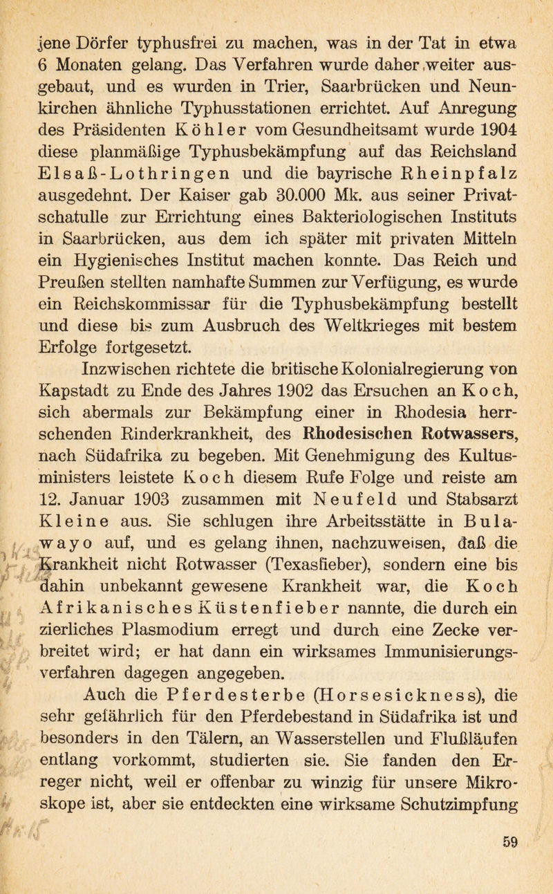 jene Dörfer typhusfrei zu machen, was in der Tat in etwa 6 Monaten gelang. Das Verfahren wurde daher weiter aus¬ gebaut, und es wurden in Trier, Saarbrücken und Neun¬ kirchen ähnliche Typhusstationen errichtet. Auf Anregung des Präsidenten Köhler vom Gesundheitsamt wurde 1904 diese planmäßige Typhusbekämpfung auf das Reichsland Elsaß-Lothringen und die bayrische Rheinpfalz ausgedehnt. Der Kaiser gab 30.000 Mk. aus seiner Privat¬ schatulle zur Errichtung eines Bakteriologischen Instituts in Saarbrücken, aus dem ich später mit privaten Mitteln ein Hygienisches Institut machen konnte. Das Reich und Preußen stellten namhafte Summen zur Verfügung, es wurde ein Reichskommissar für die Typhusbekämpfung bestellt und diese bis zum Ausbruch des Weltkrieges mit bestem Erfolge fortgesetzt. Inzwischen richtete die britische Kolonialregierung von Kapstadt zu Ende des Jahres 1902 das Ersuchen anKoch, sich abermals zur Bekämpfung einer in Rhodesia herr¬ schenden Rinderkrankheit, des Rhodesischen Rotwassers, nach Südafrika zu begeben. Mit Genehmigung des Kultus¬ ministers leistete Koch diesem Rufe Folge und reiste am 12. Januar 1903 zusammen mit N e u f e 1 d und Stabsarzt Kleine aus. Sie schlugen ihre Arbeitsstätte in Bula- wayo auf, und es gelang ihnen, nachzuweisen, daß die Krankheit nicht Rotwasser (Texasfieber), sondern eine bis dahin unbekannt gewiesene Krankheit war, die Koch AfrikanischesKüstenfieber nannte, die durch ein zierliches Plasmodium erregt und durch eine Zecke ver¬ breitet wird; er hat dann ein wirksames Immunisierungs¬ verfahren dagegen angegeben. Auch die Pferdesterbe (Horsesickness), die sehr gefährlich für den Pferdebestand in Südafrika ist und besonders in den Tälern, an Wasserstellen und Flußläufen entlang vorkommt, studierten sie. Sie fanden den Er¬ reger nicht, weil er offenbar zu winzig für unsere Mikro¬ skope ist, aber sie entdeckten eine wirksame Schutzimpfung