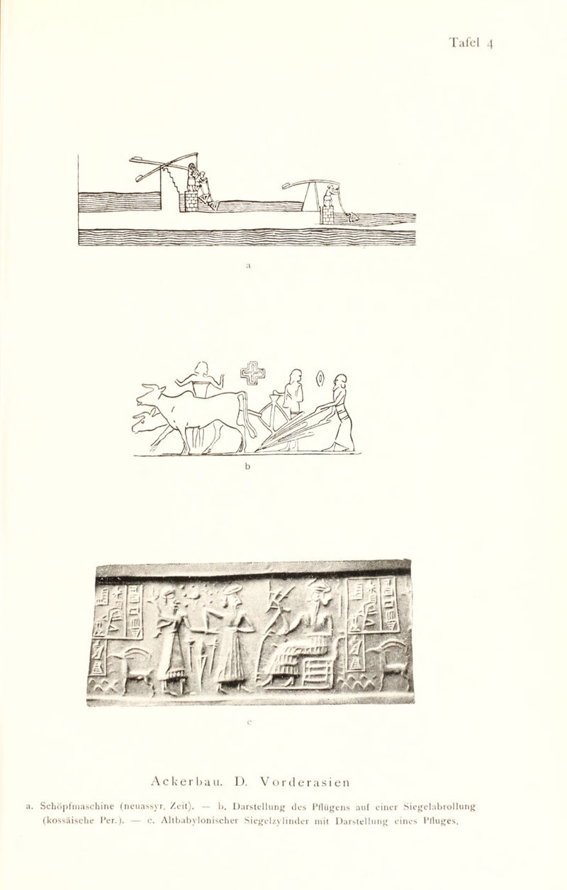 c Ackerbau. I). Vorderasien a. Schöpfmaschine (neuassyr. Zeit). — l>. Darstellung des Pflügens auf einer Siegelabrollung (kossäische Per.). — c. Altbabylonischer Siegelzylinder mit Darstellung eines Ptluges.