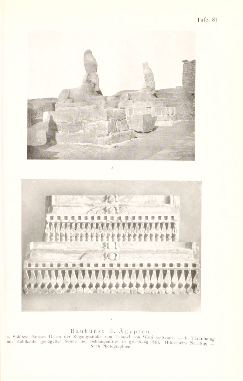 B a u k u n s t B. A ^ y p t e n a. Sphinxe Ramses II. an der Zugangsstraße zum lempel von Wadi es-Sebua. 1>. Iürkrönun>> mit Hohlkehle, geflügelter Sonne und Schlangenfries in griech.-äg. Stil. Hildesheim Nr. i8<)o — Nach Photographien.