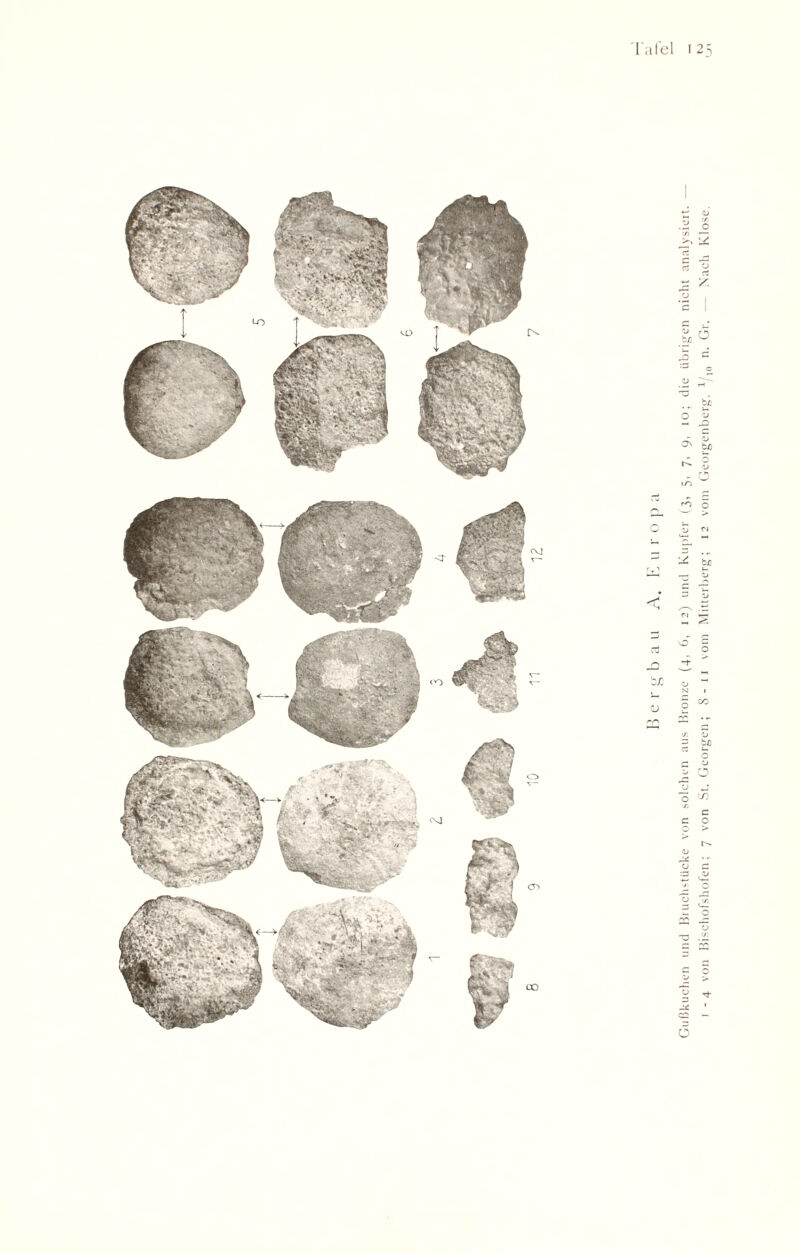 L'afel i 25