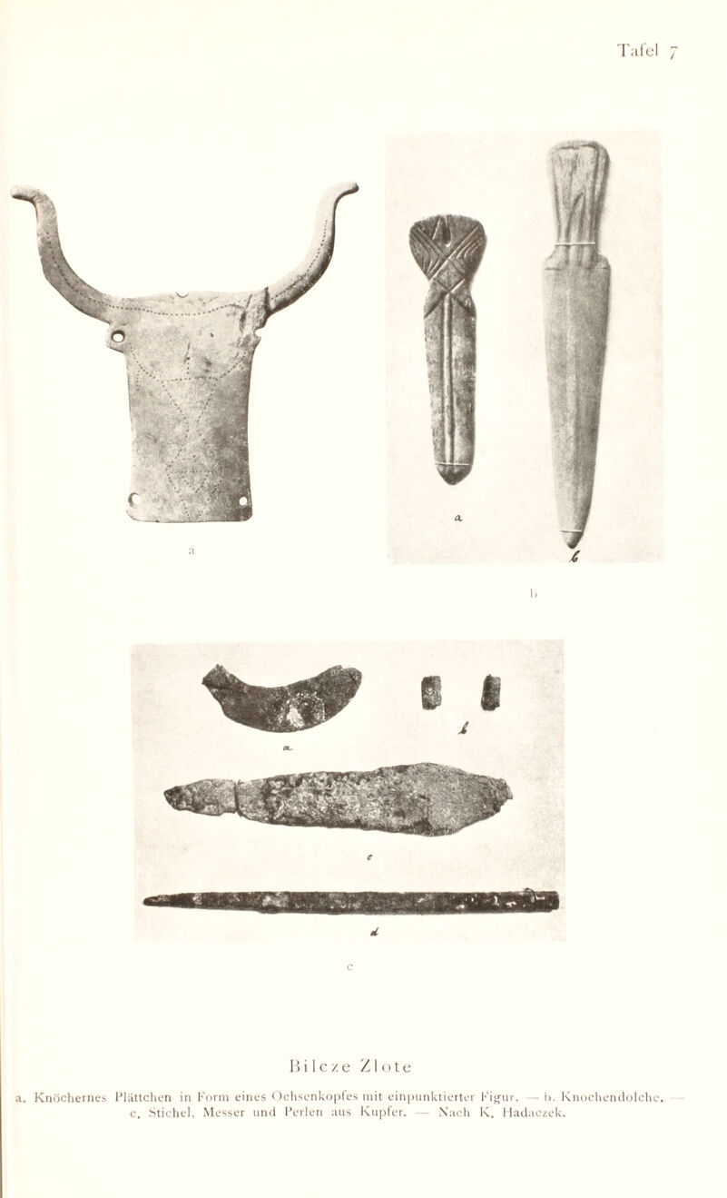 / c B i lc ze ZI ote a. Knöchernes Plättchen in Form eines Ochsenkopfes mit einpunktierter Figur. — l>. Knochendolche, c. Stichel, Messer und Perlen aus Kupfer. — Nach K. Hadaczek.