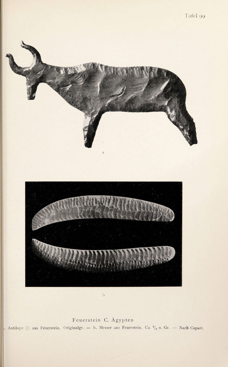 Tafel 99 Feuerstein C. Ägypten jj. Antilope (?) aus Feuerstein. Originalgr. — b. Messer aus Feuerstein. Ca. 1/3 n. Gr. — Nach Capart.