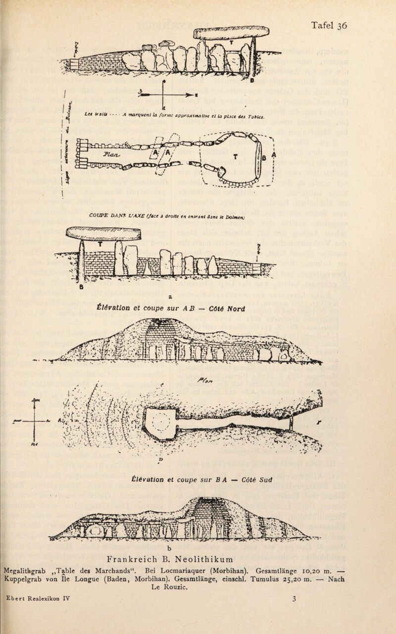 COUPE DANS L’AXE (face j droile en enirant dans ie Dolmen) a tlövation et coupe sur AB — C6t6 Nord Üldvation et coupe sur BA — Cöt6 Sud Frankreich B. Neolithikum Megalithgrab ,,Table des Marchands“. Bei Locmariaquer (Morbihan). Gesamtlänge 10,20 m. — Kuppelgrab von Ile Longue (Baden, Morbihan). Gesamtlänge, einschl. Tumulus 25,20 m. — Nach Le Rouzic.