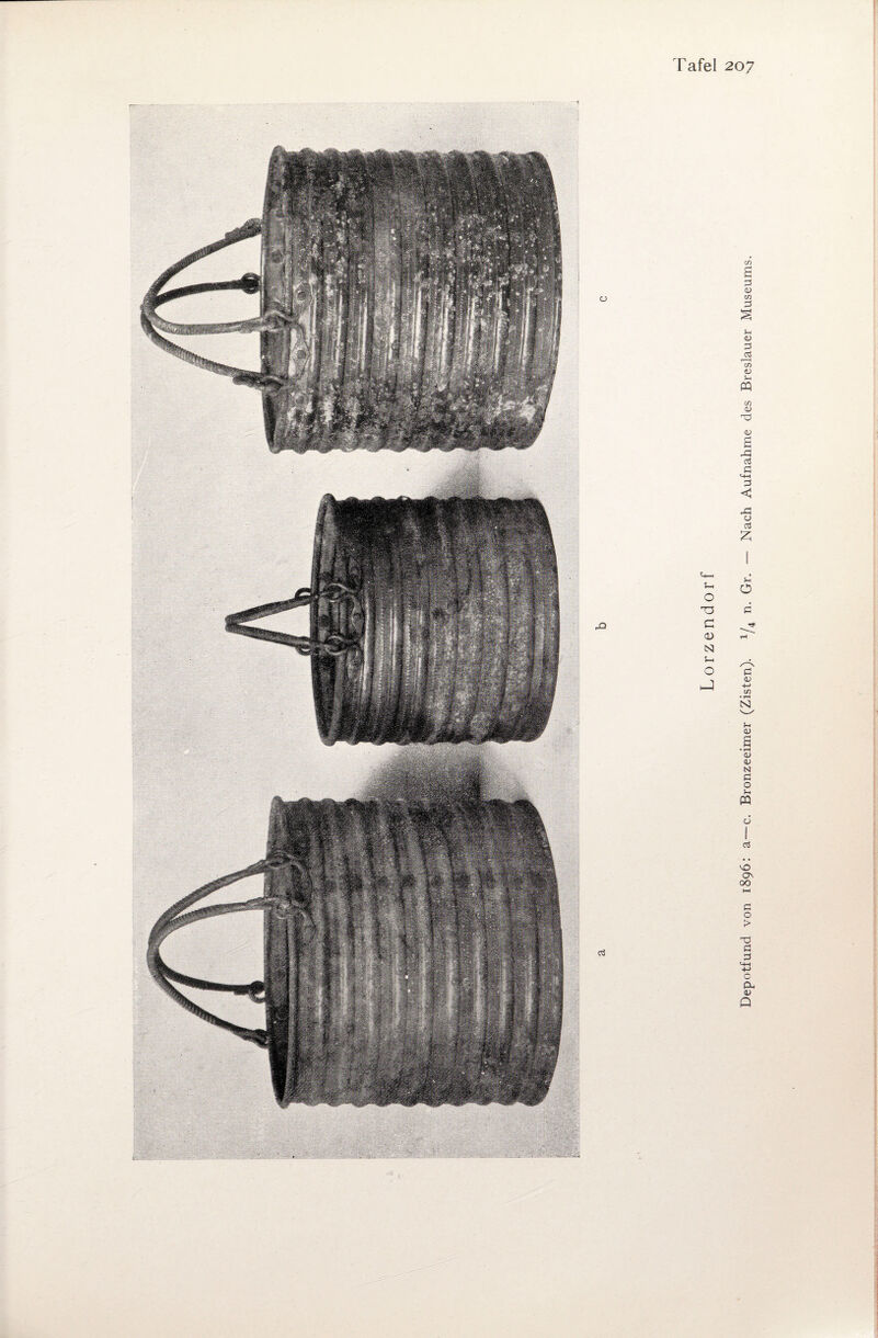 Depotfund von 1896: a—c. Bronzeeimer (Zisten). 1/4 n. Gr. — Nach Aufnahme des Breslauer Museums.