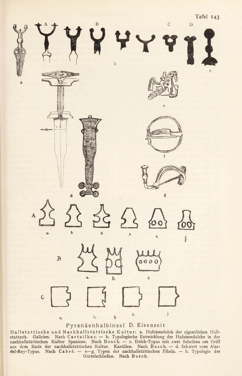 Pyrenäenhalbinsel D. Eisenzeit Hallstättische undNachhallstättische Kultur: a. Hufeisendolch der eigentlichen Hall¬ stattzeit. Galicien. Nach Cartailhac. — b, Typologische Entwicklung der Hufeisendolche in der nachhallstättischen Kultur Spaniens. Nach Bosch.— c. Dolch-Typus mit zwei Scheiben am Griff aus dem Ende der nachhallstättischen Kultur. Kastilien. Nach Bosch. — d. Schwert vom Alar- del-Rey-Typus. Nach Cabr£. — e— g. Typen der nachhallstättischen Fibeln. — h. Typologie der Gürtelschließen. Nach Bosch.