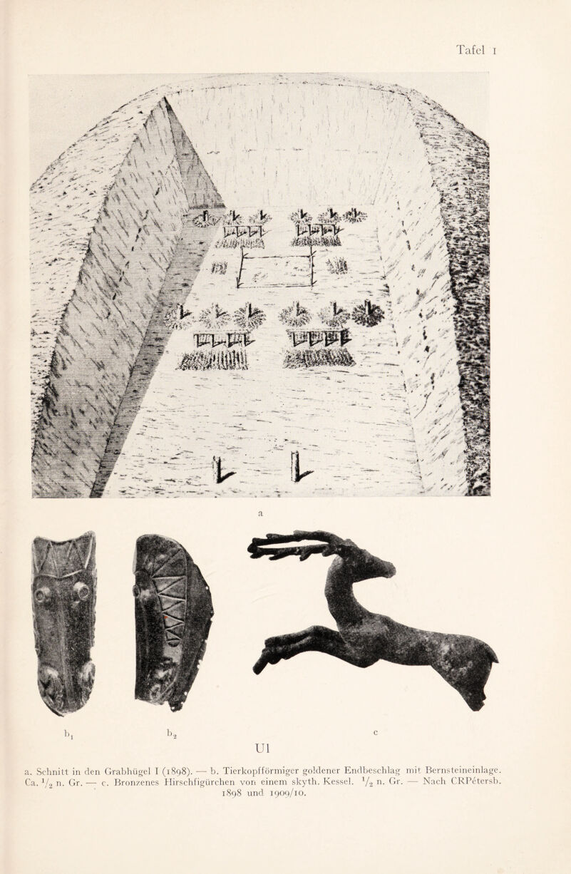 a Ul a. Schnitt in den Grabhügel I (1898). — b. Tierkopfförmiger goldener Endbeschlag mit Bernsteineinlage. Ca. 1/2 n. Gr. — c. Bronzenes Hirschfigürchen von einem skyth. Kessel. l/2 n- Gr. — Nach CRPetersb. 1898 und 1909/10.