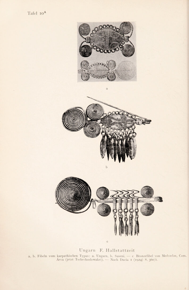 a b c Ungarn F. Hallstattzeit a, b. Fibeln vom karpathischen Typus: a. Ungarn, b. Suseni. — c Bronzefibel von Medvedze, Com, Arva (jetzt Tschechoslowakei). — Nach Dacia i (1924) S. 360/1.