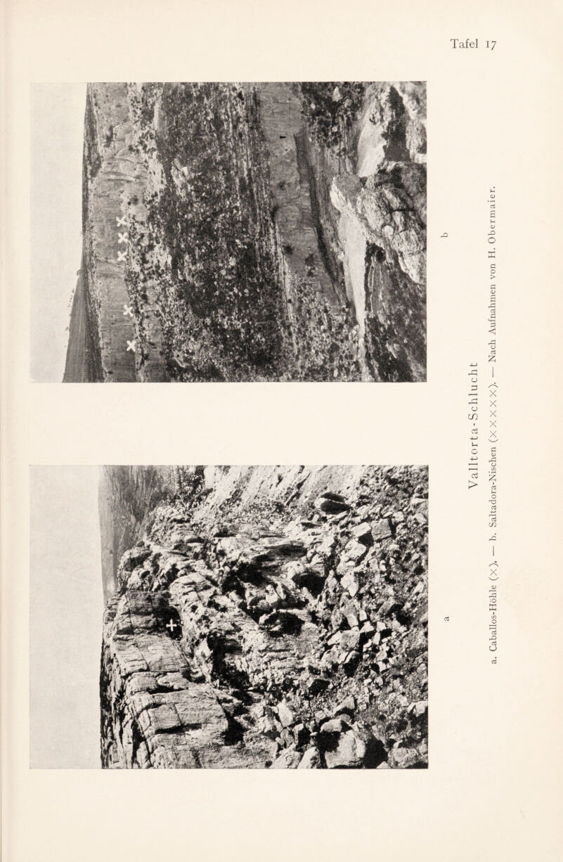 Valltorta-Schlucht . Caballos-Höhle (X). — b. Saltadora-Nischen (X X X X X). — Nach Aufnahmen von H. Obermaier.