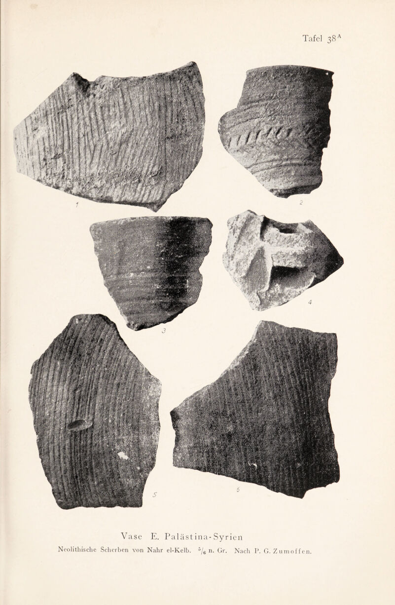 Tafel 38A Vase E. Palästina-Syrien Ncolithische Scherben von Nähr el-Kelb. 5/6 n. Gr. Nach P. G. Zum offen.