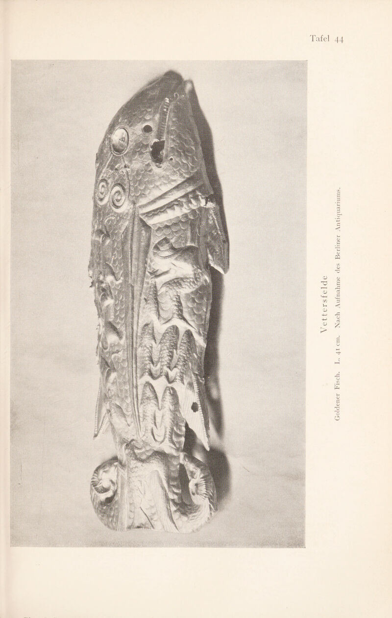 Goldener Fisch. L. 41 cm. Nach Aufnahme des Berliner Antiquariums.