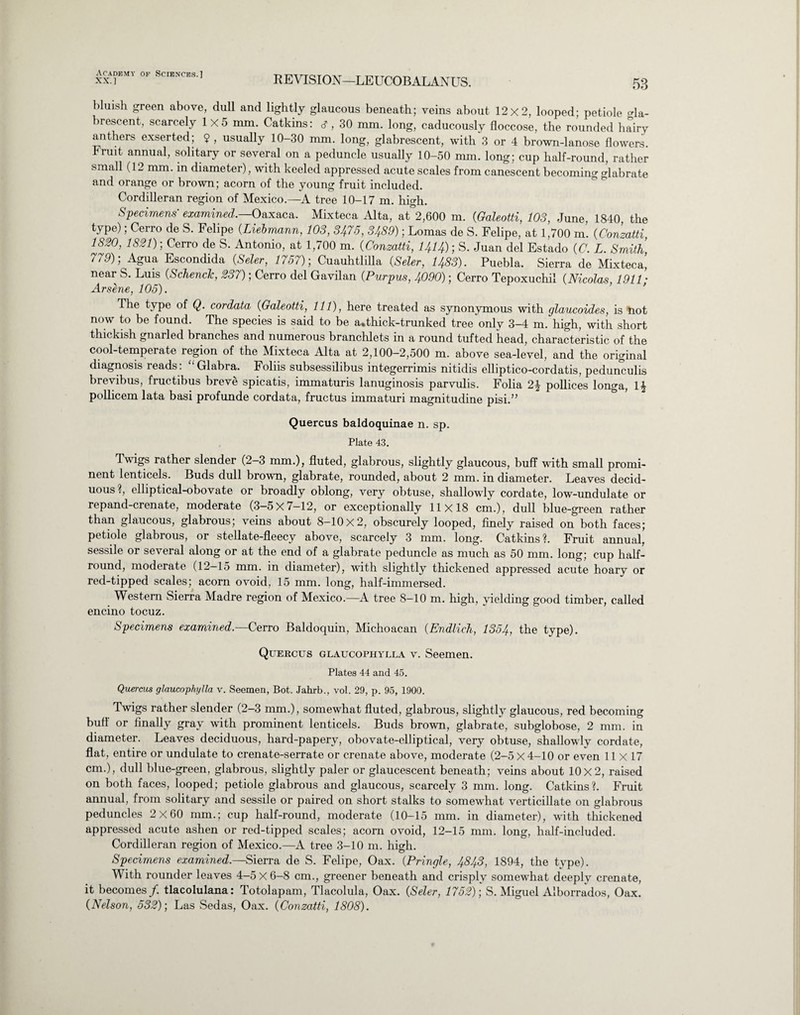 XX.] REVISION—LEUCOBALANUS. 53 bluish green above, dull and lightly glaucous beneath; veins about 12x2, looped; petiole gla- brescent, scarcely 1x5 mm. Catkins: j , 30 mm. long, caducously floccose, the rounded hairy anthers exserted; 9 , usually 10-30 mm. long, glabrescent, with 3 or 4 brown-lanose flowers. Fruit annual, solitary or several on a peduncle usually 10-50 mm. long; cup half-round, rather small (12 mm. in diameter), with keeled appressed acute scales from canescent becoming glabrate and orange or brown; acorn of the young fruit included. Cordilleran region of Mexico.—A tree 10-17 m. high. Specimens' examined.—Oaxaca. MLxteca Alta, at&2,600 m. (Galeotti, 103, June, 1840 the type); Cerro de S. Felipe (Liebmann, 103, 3475, 3489); Lomas de S. Felipe, at 1,700 m. (Conzatti 1820, 1821); Cerro de S. Antonio, at 1,700 m. (Conzatti, 1414); S. Juan del Estado {C. L. Smith 779); Agua Escondida {Seler, 1757); Cuauhtlilla {Seler, 1483). Puebla. Sierra de Mixteca! near S. Luis (Schenclc, 237); Cerro del Gavilan (.Purpus, 4090); Cerro Tepoxuchil (Nicolas, 1911; Arsene, 105). The type of Q. cordata {Galeotti, 111), here treated as synonymous with glaucoides, is hot now to be found. The species is said to be a.thick-trunked tree only 3-4 m. high, with short thickish gnarled branches and numerous branchlets in a round tufted head, characteristic of the cool-temperate region of the Mixteca Alta at 2,100-2,500 m. above sea-level, and the original diagnosis reads : “ Glabra. Foliis subsessilibus integerrimis nitidis elliptico-cordatis, pedunculis brevibus, fructibus breve spicatis, immaturis lanuginosis parvulis. Folia 2\ pollices longa, 1£ pollicem lata basi profunde cordata, fructus immaturi magnitudine pisi.” Quercus baldoquinae n. sp. Plate 43. Twigs rather slender (2—3 mm.), fluted, glabrous, slightly glaucous, buff with small promi¬ nent lenticels. Buds dull brown, glabrate, rounded, about 2 mm. in diameter. Leaves decid¬ uous ?, elliptical-obovate or broadly oblong, very obtuse, shallowly cordate, low-undulate or repand-crenate, moderate (3—5x7—12, or exceptionally 11x18 cm.), dull blue-green rather than glaucous, glabrous; veins about 8-10x2, obscurely looped, finely raised on both faces; petiole glabrous, or stellate-fleecy above, scarcely 3 mm. long. Catkins?. Fruit annual, sessile or several along or at the end of a glabrate peduncle as much as 50 mm. long; cup half- round, moderate (12—15 mm. in diameter), with slightly thickened appressed acute hoary or red-tipped scales; acorn ovoid, 15 mm. long, half-immersed. Western Sierra Madre region of Mexico.—A tree 8-10 m. high, yielding good timber, called encino tocuz. Specimens examined.—Cerro Baldoquin, Michoacan (.Endlich, 1354, the type). Quercus glaucophylla v. Seemen. Plates 44 and 45. Quercus glaucophylla v. Seemen, Bot. Jahrb., vol. 29, p. 95, 1900. Twigs rather slender (2-3 mm.), somewhat fluted, glabrous, slightly glaucous, red becoming buff or finally gray with prominent lenticels. Buds brown, glabrate, subglobose, 2 mm. in diameter. Leaves deciduous, hard-papery, obovate-elliptical, very obtuse, shallowly cordate, flat, entire or undulate to crenate-serrate or crenate above, moderate (2-5 X 4-10 or even 11x17 cm.), dull blue-green, glabrous, slightly paler or glaucescent beneath; veins about 10x2, raised on both faces, looped; petiole glabrous and glaucous, scarcely 3 mm. long. Catkins?. Fruit annual, from solitary and sessile or paired on short stalks to somewhat verticillate on glabrous peduncles 2x60 mm.; cup half-round, moderate (10-15 mm. in diameter), with thickened appressed acute ashen or red-tipped scales; acorn ovoid, 12-15 mm. long, half-included. Cordilleran region of Mexico.—A tree 3-10 m. high. Specimens examined.—Sierra de S. Felipe, Oax. {Pringle, 4843, 1894, the type). With rounder leaves 4-5 X 6-8 cm., greener beneath and crisply somewhat deeply crenate, it becomes/, tlacolulana: Totolapam, Tlacolula, Oax. {Seler, 1752); S. Miguel Alborrados, Oax. {Nelson, 532); Las Sedas, Oax. {Conzatti, 1808).
