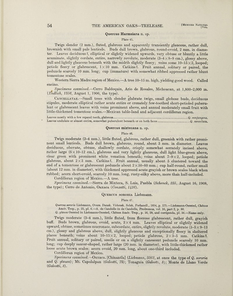 [You Quercus Harmsiana n. sp. Plate 45. Twigs slender (2 mm.), fluted, glabrous and apparently transiently glaucous, rather dull, brownish with small pale lenticels. Buds dull brown, glabrous, round-ovoid, 2 mm. in diame¬ ter. Leaves deciduous ?, elliptical or slightly widened upwards, very obtuse or bluntly a little acuminate, slightly cordate, entire, narrowly revolute, moderate (3-4x8-9 cm.), glossy above, dull and lightly glaucous beneath with the midrib slightly fleecy; veins some 10-15 X 2, looped; petiole fleecy or glabrescent, 1x10 mm. Catkins?. Fruit annual, solitary or paired, the peduncle scarcely 10 mm. long; cup (immature) with somewhat ribbed appressed rather blunt tomentose scales. Western Sierra Madre region of Mexico.—A tree 10-15 m. high, yielding good wood. Called encino. Specimens examined.—Cerro Baldoquin, Ario de Rosales, Michoacan, at 1,800-2,000 m. (Fmdlich, 1356, August 1, 1906, the type). Cancellatae.—Small trees with slender glabrate twigs, small globose buds, deciduous stipules, moderate elliptical rather acute entire or crenately few-toothed short-petioled puberu- lent or glabrescent leaves with veins prominent above, and annual moderately small fruit with little-thickened tomentose scales.—Mexican table-land and adjacent cordilleran region. Leaves mostly with a few repand teeth, glabrous.Q. conjungens. Leaves undulate or almost entire, somewhat puberulent beneath or on both faces.Q. cancellata. Quercus mixtecana n. sp. Plate 46. Twigs moderate (2-4 mm.), little fluted, glabrous, rather dull, greenish with rather promi¬ nent small lenticels. Buds dull brown, glabrous, round, about 3 mm. in diameter. Leaves deciduous, obovate, obtuse, shallowly cordate, crisply somewhat serrately incised above, rather large (6x10-12 cm.), glabrous and very lightly glaucous, dull light blue-green above, clear green with prominent white venation beneath; veins about 7-9x2, looped; petiole glabrous, about 2x3 mm. Catkins?. Fruit annual, usually about 5 clustered toward the end of a tomentose or glabrescent peduncle about 2 X 50-60 mm.; cup half-round, rather small (about 12 mm. in diameter), with thickened appressed acute grayish or brown scales black when rubbed; acorn short-ovoid, scarcely 10 mm. long, rusty-silky above, more than half-included. Cordilleran region of Mexico.—A tree. Specimens examined.—Sierra de Mixteca, S. Luis, Puebla (Schenck, 235, August 16, 1908, the type); Cerro de Antonio, Oaxaca (Conzatti, 1416). Quercus sororia Liebmann. Plate 47. Quercus sororia Liebmann, Overs. Dansk. Vidensk. Selsk. Forhandl., 1854, p. 175.—Liebmann-Oersted, Chenes Amer. Trop., p. 23, pi. 6.—A. de Candolle in de Candolle, Prodromus, vol. 16, part 2, p. 80. Q. glauca Oersted in Liebmann-Oersted, Chenes Amer. Trop., p. 16, 29, and corrigenda, pi. 36.—Name only. Twigs moderate (3-4 mm.), little fluted, from floccose glabrescent, rather dull, grayish buff. Buds brown, glabrous, ovoid, acute, 3x4 mm. Leaves elliptical or slightly widened upward, obtuse, sometimes mucronate, subcordate, entire, slightly revolute, moderate (3-5 X 9-13 cm.), glossy and glabrous above, dull, slightly glaucous and exceptionally fleecy in sheltered places beneath; veins about 10-15x2, looped; petiole glabrous, 2x3-5 mm. Catkins?. Fruit annual, solitary or paired, sessile or on a slightly canescent peduncle scarcely 10 mm. long; cup deeply saucer-shaped, rather large (20 mm. in diameter), with little-thickened rather loose acute brown scales; acorn ovoid, 20 mm. long, about one-third included. Cordilleran region of Mexico. Specimens examined.—Oaxaca. [Chinantla] (Liebmann, 3562, at once the type of Q. sorona and Q. glauca)', Mt. Capulalpan (Galeotti, 7 b); Tonaguia (Galeotti, 8); Monte de Llano Verde {Galeotti, 8).