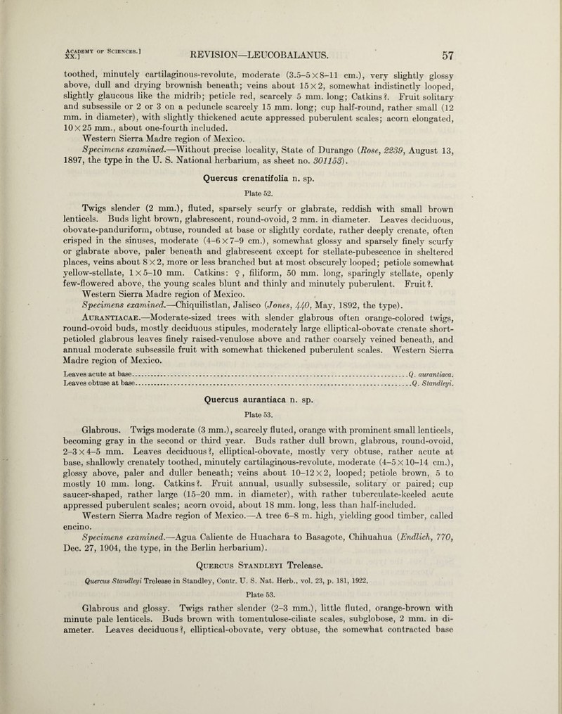 XX.] REVISION—LEUCOBALANUS. 57 toothed, minutely cartilaginous-revolute, moderate (3.5-5x8-11 cm.), very slightly glossy above, dull and drying brownish beneath; veins about 15x2, somewhat indistinctly looped, slightly glaucous like the midrib; peticle red, scarcely 5 mm. long; Catkins?. Fruit solitary and subsessile or 2 or 3 on a peduncle scarcely 15 mm. long; cup half-round, rather small (12 mm. in diameter), with slightly thickened acute appressed puberulent scales; acorn elongated, 10x25 mm., about one-fourth included. Western Sierra Madre region of Mexico. Specimens examined.—Without precise locality, State of Durango (Rose, 2239, August 13, 1897, the type in the U. S. National herbarium, as sheet no. 301153). Quercus crenatifolia n. sp. Plate 52. Twigs slender (2 mm.), fluted, sparsely scurfy or glabrate, reddish with small brown lenticels. Buds light brown, glabrescent, round-ovoid, 2 mm. in diameter. Leaves deciduous, obovate-panduriform, obtuse, rounded at base or slightly cordate, rather deeply crenate, often crisped in the sinuses, moderate (4-6 X 7-9 cm.), somewhat glossy and sparsely finely scurfy or glabrate above, paler beneath and glabrescent except for stellate-pubescence in sheltered places, veins about 8x2, more or less branched but at most obscurely looped; petiole somewhat yellow-stellate, 1x5-10 mm. Catkins: $, filiform, 50 mm. long, sparingly stellate, openly few-flowered above, the young scales blunt and thinly and minutely puberulent. Fruit ?. Western Sierra Madre region of Mexico. Specimens examined.—Chiquilistlan, Jalisco (Jones, 440, May, 1892, the type). Aurantiacae.—Moderate-sized trees with slender glabrous often orange-colored twigs, round-ovoid buds, mostly deciduous stipules, moderately large elliptical-obovate crenate short- petioled glabrous leaves finely raised-venulose above and rather coarsely veined beneath, and annual moderate subsessile fruit with somewhat thickened puberulent scales. Western Sierra Madre region of Mexico. Leaves acute at base.Q. aurantiaca. Leaves obtuse at base.Q. Standleyi. Quercus aurantiaca n. sp. Plate 53. Glabrous. Twigs moderate (3 mm.), scarcely fluted, orange with prominent small lenticels, becoming gray in the second or third year. Buds rather dull brown, glabrous, round-ovoid, 2-3 X 4-5 mm. Leaves deciduous ?, elliptical-obovate, mostly very obtuse, rather acute at base, shallowly crenately toothed, minutely cartilaginous-revolute, moderate (4-5x10-14 cm.), glossy above, paler and duller beneath; veins about 10-12x2, looped; petiole brown, 5 to mostly 10 mm. long. Catkins?. Fruit annual, usually subsessile, solitary or paired; cup saucer-shaped, rather large (15-20 mm. in diameter), with rather tuberculate-keeled acute appressed puberulent scales; acorn ovoid, about 18 mm. long, less than half-included. Western Sierra Madre region of Mexico.—A tree 6-8 m. high, yielding good timber, called encino. Specimens examined.—Agua Caliente de Huachara to Basagote, Chihuahua (Endlich, 770, Dec. 27, 1904, the type, in the Berlin herbarium). Quercus Standleyi Trelease. Quercus Standleyi Trelease in Standley, Contr. U. S. Nat. Herb., vol. 23, p. 181, 1922. Plate 53. Glabrous and glossy. Twigs rather slender (2-3 mm.), little fluted, orange-brown with minute pale lenticels. Buds brown with tomentulose-ciliate scales, subglobose, 2 mm. in di¬ ameter. Leaves deciduous ?, elliptical-obovate, very obtuse, the somewhat contracted base