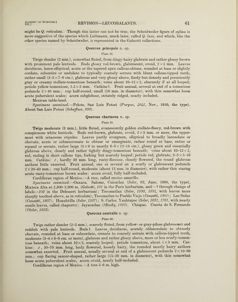 XX.] REVISION—LEUCOBALANUS. 61 might be Q. reticulata. Though this latter can not be true, the Scheidweiler figure of xylvna is more suggestive of the species which Liebmann, much later, called Q. laxa, and which, like the other species named by Scheidweiler, is represented in the Galeotti collections. Quercus prinopsis n. sp. Plate 58. Twigs slender (2 mm.), somewhat fluted, from dingy-hairy glabrate and rather glossy brown with prominent pale lenticels. Buds glossy red-brown, glabrescent, ovoid, 2x3 mm. Leaves deciduous, lance-elliptical, acute or the tapered apex callous-obtuse, rounded at base or slightly cordate, subentire or undulate to typically coarsely serrate with blunt callous-tipped teeth, rather small (2-3 X 7-9 cm.), glabrous and very glossy above, finely but densely and persistently gray or creamy stellate-tomentose beneath; veins about 10-12x2, obscurely if at all looped; petiole yellow-tomentose, 1.5X5 mm. Catkins?. Fruit annual, several at end of a tomentose peduncle 2X40 mm.; cup half-round, small (10 mm. in diameter), with thin somewhat loose acute puberulent scales; acorn subglobose, striately ridged, nearly included. Mexican table-land. Specimens examined.—Pelote, San Luis Potosi (Purpus, 4941, Nov., 1910, the type). About San Luis Potosi (Schaffner, 899). Quercus chartacea n. sp. Plate 59. Twigs moderate (3 mm.), little fluted, evanescently golden stellate-fleecy, red-brown with conspicuous white lenticels. Buds red-brown, glabrate, ovoid, 2x3 mm. or more, the upper¬ most with setaceous stipules. Leaves partly evergreen, elliptical to broadly lanceolate or obovate, acute or submucronate to obtuse or emarginate, rather round at base, entire or repand or serrate, rather large (4x9 to mostly 6-8x12-14 cm.), glossy green and essentially glabrous above, closely and rather tightly dingy-tomentose beneath; veins about 10-12x2, red, ending in short callous tips, forking but scarcely looped; petiole red, glabrate, 2-3x5-10 mm. Catkins: s, hardly 30 mm. long, rusty-floccose, closely flowered, the round glabrous anthers little exserted. Fruit annual, one or several on a scurfy or glabrescent peduncle 2X20-40 mm.; cup half-round, moderate (about 15 mm. in diameter), with rather thin staring acute rusty-tomentose brown scales; acorn ovoid, fully half-included. Cordilleran region of Mexico.—A tree, called encino amarillo. Specimens examined.—Oaxaca. Salome, Cuicatlan (Seler, 62, June, 1888, the type), Mixteca Alta at 2,300-2,900 m. (Galeotti, 101 in the Paris herbarium, and—? through change of labels—102 in the Delessert herbarium); Tecomatlan [Seler, 1593, 1594, with leaves more sharply toothed above, as in reticulata); Tecomatlan to Pueblo Viejo (Conzatti, 1901); Las Sedas (Conzatti, 1807); Huauhtilla [Seler, 1587); S. Carlos, Yauhtepec [Seler, 1631, 1761, with nearly sessile leaves, called chaporro); Jayacatlan [fRusby, 1910). Chiapas. Cuesta de S. Fernando [? Seler, 1853). Quercus centralis n. sp. Plate 60. Twigs rather slender (2-3 mm.), scarcely fluted, from yellow- or gray-pilose glabrescent and reddish with pale lenticels. Buds ?. Leaves # deciduous, acutely oblanceolate to obtusely obovate, rounded at base or subcordate, crenate to coarsely serrate with callous-tipped teeth, moderate (3-4 X 6-8 cm. or more), glabrous and rather glossy above, more or less scurfy-tomen- tose beneath; veins about 10x2, scarcely looped; petiole tomentose, about 1X5 mm. Cat¬ kins: c? , 50-70 mm. long, laxly flowered, loosely hairy, the rounded mostly hairy anthers somewhat exserted. Fruit annual, usually several at end of a glabrescent peduncle 2 X 10-80 mm.; cup flaring saucer-shaped, rather large (15-20 mm. in diameter), with thin somewhat loose acute puberulent scales; acorn ovoid, nearly half-included.