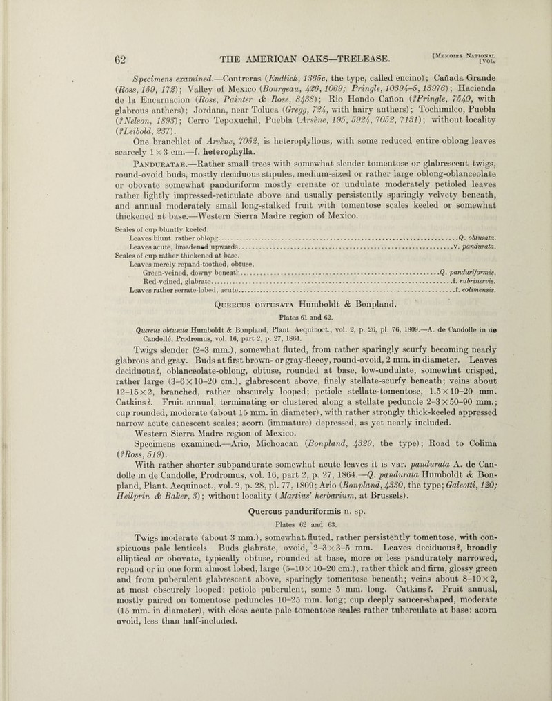 Specimens examined.—Contreras (Endlich, 1365c, the type, called encino); Canada Grande (Ross, 159, 172)’, Valley of Mexico (Bourgeau, Jf.26, 1069; Pringle, 10394.-5, 13976); Hacienda de la Encarnacion (Rose, Painter & Rose, 8438); Rio Hondo Canon (?Pringle, 7540, with glabrous anthers); Jordana, near Toluca (Gregg, 724, with hairy anthers); Tochimilco, Puebla (?Nelson, 1893); Cerro Tepoxuchil, Puebla (Arsene, 195, 5924, 7052, 7131); without locality (fLeibold, 237). One branchlet of Arsene, 7052, is heterophyllous, with some reduced entire oblong leaves scarcely 1X3 cm.—f. heterophylla. Panduratae.—Rather small trees with somewhat slender tomentose or glabrescent twigs, round-ovoid buds, mostly deciduous stipules, medium-sized or rather large oblong-oblanceolate or obovate somewhat panduriform mostly crenate or undulate moderately petioled leaves rather lightly impressed-reticulate above and usually persistently sparingly velvety beneath, and annual moderately small long-stalked fruit with tomentose scales keeled or somewhat thickened at base.—Western Sierra Madre region of Mexico. Scales of cup bluntly keeled. Leaves blunt, rather oblong.Q. obtusata. Leaves acute, broadened upwards.v. pandurata. Scales of cup rather thickened at base. Leaves merely repand-toothed, obtuse. Green-veined, downy beneath.Q. panduriformis. Red-veined, glabrate.f. rubrinervis. Leaves rather serrate-lobed, acute.f. colimensis. Quercus obtusata Humboldt & Bonpland. Plates 61 and 62. Quercus obtusata Humboldt & Bonpland, Plant. Aequinoct., vol. 2, p. 26, pi. 76, 1809.—A. de Candolle in de Candolle, Prodromus, vol. 16, part 2, p. 27, 1864. Twigs slender (2-3 mm.), somewhat fluted, from rather sparingly scurfy becoming nearly glabrous and gray. Buds at first brown- or gray-fleecy, round-ovoid, 2 mm. in diameter. Leaves deciduous?, oblanceolate-oblong, obtuse, rounded at base, low-undulate, somewhat crisped, rather large (3-6x10-20 cm.), glabrescent above, finely stellate-scurfy beneath; veins about 12-15X2, branched, rather obscurely looped; petiole stellate-tomentose, 1.5x10-20 mm. Catkins ?. Fruit annual, terminating or clustered along a stellate peduncle 2-3 X 50-90 mm.; cup rounded, moderate (about 15 mm. in diameter), with rather strongly thick-keeled appressed narrow acute canescent scales; acorn (immature) depressed, as yet nearly included. Western Sierra Madre region of Mexico. Specimens examined.—Ario, Michoacan (Bonpland, 4329, the type); Road to Colima (fRoss, 519). With rather shorter subpandurate somewhat acute leaves it is var. pandurata A. de Can¬ dolle in de Candolle, Prodromus, vol. 16, part 2, p. 27, 1864.—Q. pandurata Humboldt & Bon¬ pland, Plant. Aequinoct., vol. 2, p. 28, pi. 77, 1809; Ario (Bonpland, 4330, the type; Galeotti, 120; Heilprin & Baker, 3); without locality (Martins’ herbarium, at Brussels). Quercus panduriformis n. sp. Plates 62 and 63. Twigs moderate (about 3 mm.), somewhat.fluted, rather persistently tomentose, with con¬ spicuous pale lenticels. Buds glabrate, ovoid, 2-3 X 3-5 mm. Leaves deciduous ?, broadly elliptical or obovate, typically obtuse, rounded at base, more or less pandurately narrowed, repand or in one form almost lobed, large (5-10 X 10-20 cm.), rather thick and firm, glossy green and from puberulent glabrescent above, sparingly tomentose beneath; veins about 8-10x2, at most obscurely looped: petiole puberulent, some 5 mm. long. Catkins?. Fruit annual, mostly paired on tomentose peduncles 10-25 mm. long; cup deeply saucer-shaped, moderate (15 mm. in diameter), with close acute pale-tomentose scales rather tuberculate at base: acorn ovoid, less than half-included.