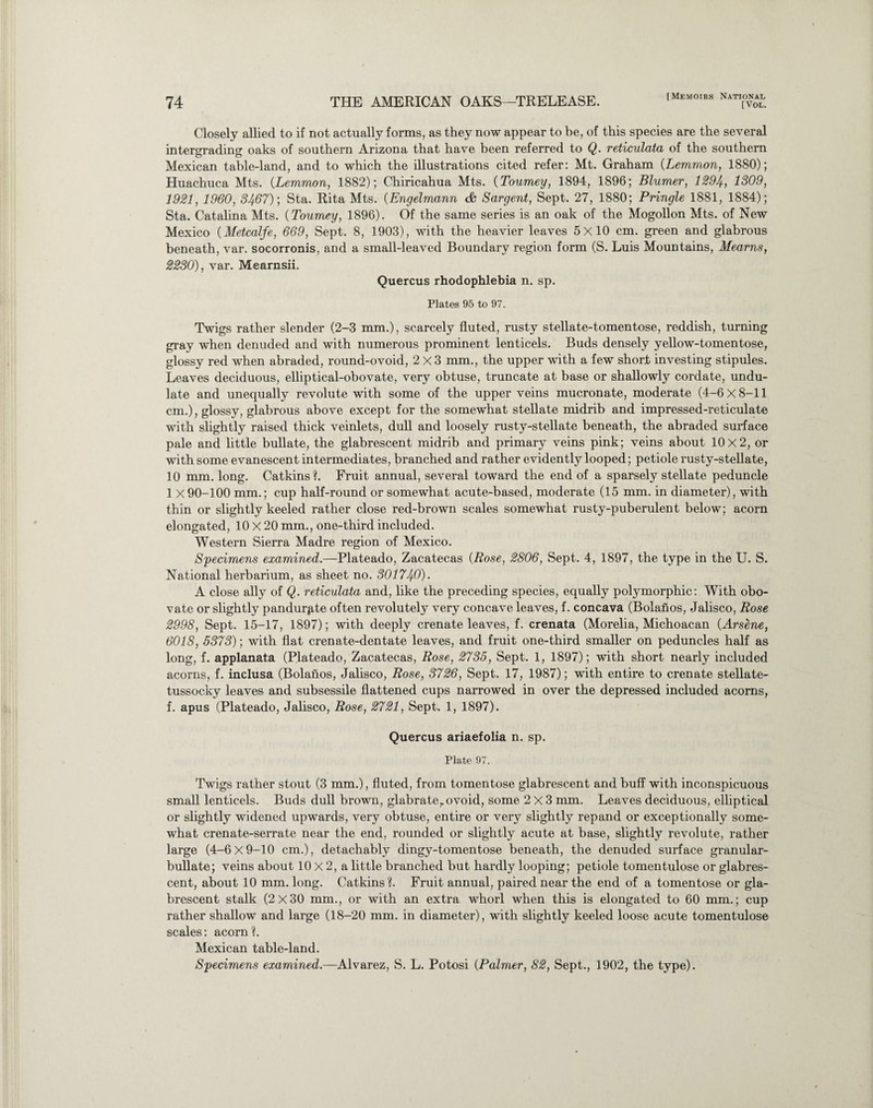 Closely allied to if not actually forms, as they now appear to be, of this species are the several intergrading oaks of southern Arizona that have been referred to Q. reticulata of the southern Mexican table-land, and to which the illustrations cited refer: Mt. Graham (Lemmon, 1880); Huachuca Mts. {Lemmon, 1882); Chiricahua Mts. {Tourney, 1894, 1896; Blumer, 1294, 1309, 1921, 1960, 3467)', Sta. Rita Mts. {Engelmann & Sargent, Sept. 27, 1880; Pringle 1881, 1884); Sta. Catalina Mts. {Tourney, 1896). Of the same series is an oak of the Mogollon Mts. of New Mexico {Metcalfe, 669, Sept. 8, 1903), with the heavier leaves 5x10 cm. green and glabrous beneath, var. socorronis, and a small-leaved Boundary region form (S. Luis Mountains, Meams, 2230), var. Mearnsii. Quercus rhodophlebia n. sp. Plates 95 to 97. Twigs rather slender (2-3 mm.), scarcely fluted, rusty stellate-tomentose, reddish, turning gray when denuded and with numerous prominent lenticels. Buds densely yellow-tomentose, glossy red when abraded, round-ovoid, 2x3 mm., the upper with a few short investing stipules. Leaves deciduous, elliptical-obovate, very obtuse, truncate at base or shallowly cordate, undu¬ late and unequally revolute with some of the upper veins mucronate, moderate (4-6x8-11 cm.), glossy, glabrous above except for the somewhat stellate midrib and impressed-reticulate with slightly raised thick veinlets, dull and loosely rusty-stellate beneath, the abraded surface pale and little bullate, the glabrescent midrib and primary veins pink; veins about 10x2, or with some evanescent intermediates, branched and rather evidently looped; petiole rusty-stellate, 10 mm. long. Catkins?. Fruit annual, several toward the end of a sparsely stellate peduncle 1 X 90-100 mm.; cup half-round or somewhat acute-based, moderate (15 mm. in diameter), with thin or slightly keeled rather close red-brown scales somewhat rusty-puberulent below; acorn elongated, 10 X 20 mm., one-third included. Western Sierra Madre region of Mexico. Specimens examined.—Plateado, Zacatecas {Rose, 2806, Sept. 4, 1897, the type in the U. S. National herbarium, as sheet no. 301740). A close ally of Q. reticulata and, like the preceding species, equally polymorphic: With obo- vate or slightly pandurpte often revolutely very concave leaves, f. concava (Bolanos, Jalisco, Rose 2998, Sept. 15-17, 1897); with deeply crenate leaves, f. crenata (Morelia, Michoacan {Arsene, 6018, 5373)', with flat crenate-dentate leaves, and fruit one-third smaller on peduncles half as long, f. applanata (Plateado, Zacatecas, Rose, 2735, Sept. 1, 1897); with short nearly included acorns, f. inclusa (Bolanos, Jalisco, Rose, 3726, Sept. 17, 1987); with entire to crenate stellate- tussocky leaves and subsessile flattened cups narrowed in over the depressed included acorns, f. apus (Plateado, Jalisco, Rose, 2721, Sept. 1, 1897). Quercus ariaefolia n. sp. Plate 97. Twigs rather stout (3 mm.), fluted, from tomentose glabrescent and buff with inconspicuous small lenticels. Buds dull brown, glabrate,.ovoid, some 2x3 mm. Leaves deciduous, elliptical or slightly widened upwards, very obtuse, entire or very slightly repand or exceptionally some¬ what crenate-serrate near the end, rounded or slightly acute at base, slightly revolute, rather large (4-6x9-10 cm.), detachably dingy-tomentose beneath, the denuded surface granular- bullate; veins about 10x2, a little branched but hardly looping; petiole tomentulose or glabres¬ cent, about 10 mm. long. Catkins?. Fruit annual, paired near the end of a tomentose or gla¬ brescent stalk (2x30 mm., or with an extra whorl when this is elongated to 60 mm.; cup rather shallow and large (18-20 mm. in diameter), with slightly keeled loose acute tomentulose scales: acorn?. Mexican table-land. Specimens examined.—Alvarez, S. L. Potosi {Palmer, 82, Sept., 1902, the type).