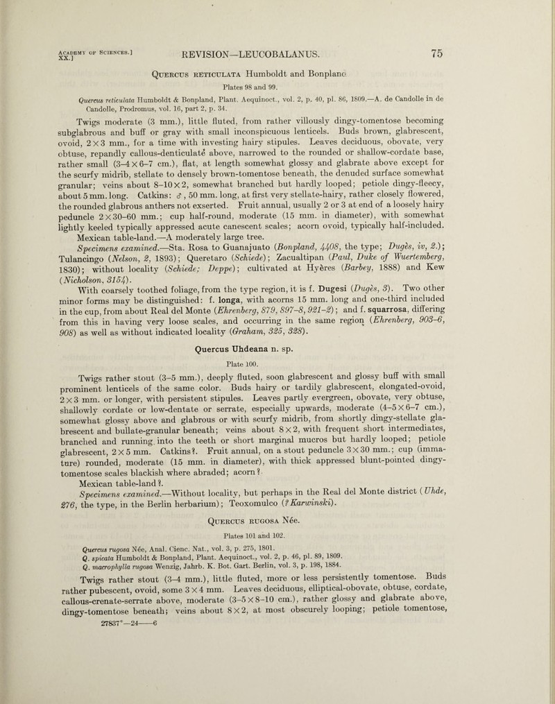 XX.] REVISION—LEUCOBALANUS. Quercus reticulata Humboldt and Bonplano Plates 98 and 99. Quercus reticulata Humboldt & Bonpland, Plant. Aequinoct., vol. 2, p. 40, pi. 86, 1809.—A. de Candolle in de Candolle, Prodromus, vol. 16, part 2, p. 34. Twigs moderate (3 mm.), little fluted, from rather villously dingy-tomentose becoming subglabrous and buff or gray with small inconspicuous lenticels. Buds brown, glabrescent, ovoid, 2X3 mm., for a time with investing hairy stipules. Leaves deciduous, obovate, very obtuse, repandly callous-denticulate above, narrowed to the rounded or shallow-cordate base, rather small (3-4X6-7 cm.), flat, at length somewhat glossy and glabrate above except for the scurfy midrib, stellate to densely brown-tomentose beneath, the denuded surface somewhat granular; veins about 8-10x2, somewhat branched but hardly looped; petiole dingy-fleecy, about 5 mm. long. Catkins: d , 50 mm. long, at first very stellate-hairy, rather closely flowered, the rounded glabrous anthers not exserted. Fruit annual, usually 2 or 3 at end of a loosely hairy peduncle 2X30-60 mm.; cup half-round, moderate (15 mm. in diameter), with somewhat lightly keeled typically appressed acute canescent scales; acorn ovoid, typically half-included. Mexican table-land.—A moderately large tree. Specimens examined.—Sta. Rosa to Guanajuato (Bonpland, 44-08, the type; Duges, iv, 2.)‘, Tulancingo (Nelson, 2, 1893); Queretaro (Schiede); Zacualtipan (Paul, Duke of Wuertemberg, 1830); without locality (Schiede; Deppe)-, cultivated at Hyeres (Barley, 1888) and Kew (Nicholson, 3154)• With coarsely toothed foliage, from the type region, it is f. Dugesi (Duges, 3). Two other minor forms may be distinguished: f. longa, with acorns 15 mm. long and one-third included in the cup, from about Real del Monte (Ehrenberg, 879, 897-8, 921-2); and f. squarrosa, differing from this in having very loose scales, and occurring in the same region (Ehrenberg, 903-6, 908) as well as without indicated locality (Graham, 325, 328). Quercus Uhdeana n. sp. Plate 100. Twigs rather stout (3-5 mm.), deeply fluted, soon glabrescent and glossy buff with small prominent lenticels of the same color. Buds hairy or tardily glabrescent, elongated-ovoid, 2x3 mm. or longer, with persistent stipules. Leaves partly evergreen, obovate, very obtuse, shallowly cordate or low-dentate or serrate, especially upwards, moderate (4-5X6-7 cm.), somewhat glossy above and glabrous or with scurfy midrib, from shortly dingy-stellate gla¬ brescent and bullate-granular beneath; veins about 8x2, with frequent short intermediates, branched and running, into the teeth or short marginal mucros but hardly looped; petiole glabrescent, 2X5 mm. Catkins?. Fruit annual, on a stout peduncle 3X 30 mm.; cup (imma¬ ture) rounded, moderate (15 mm. in diameter), with thick appressed blunt-pointed dingy- tomentose scales blackish where abraded; acorn? Mexican table-land ?. Specimens examined.—Without locality, but perhaps in the Real del Monte district (TJhde, 276, the type, in the Berlin herbarium); Teoxomulco (?Karwinski). Quercus rugosa Nee. Plates 101 and 102. Quercus rugosa N6e, Anal. Cienc. Nat., vol. 3, p. 275, 1801. Q. spicata Humboldt & Bonpland, Plant. Aequinoct., vol. 2, p. 46, pi. 89, 1809. Q. macrophylla rugosa Wenzig, Jahrb. K. Bot. Gart. Berlin, vol. 3, p. 198, 1884. Twigs rather stout (3-4 mm.), little fluted, more or less persistently tomentose. Buds rather pubescent, ovoid, some 3X4 mm. Leaves deciduous, elliptical-obovate, obtuse, cordate, callous-crenate-serrate above, moderate (3-5X8-10 cm.), rather glossy and glabrate above, dingy-tomentose beneath; veins about 8X2, at most obscurely looping; petiole tomentose, 27837°—24-6