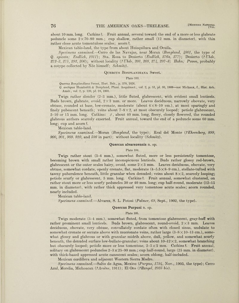 [Vol. about 10 mm. long. Catkins ?. Fruit annual, several toward the end of a more or less glabrate peduncle some 2x70-80 mm.; cup shallow, rather small (12 mm. in diameter), with thin rather close acute tomentulose scales; acorn ?. Mexican table-land, the type from about Iluisquiluca and Ocuila. Specimens examined.—Cerro de las Navajas, near Moran (Bonpland, 4061, the type of Q. spicata; Endlich, 1011)-, Sta. Rosa to Desierto (Endlich, 376a, 377); Desierto (fUhde, 272-3, 275, 292, 306); without locality (f TJhde, 266, 268, 274, 297-8; Hahn; Pavon, probably a cotype collected by Nee himself; Schmitz). Quercus Bonplandiana Sweet. Plate 103. Quercus Bonplandiana Sweet, Hort. Brit., p. 370, 1826. Q. ambigua Humboldt & Bonpland, Plant. Aequinoct., vol. 2, p. 51, pi. 93, 1809—not Michaux, f., Hist. Arb. Amer., vol. 2, p. 120, pi. 24, 1801. Twigs rather slender (2-3 mm.), little fluted, glabrescent, with evident small lenticels. Buds brown, glabrate, ovoid, 2x3 mm. or more. Leaves deciduous, narrowly obovate, very obtuse, rounded at base, low-crenate, moderate (about 4x8-10 cm.), at most sparingly and finely pubescent beneath; veins about 7-8x2, at most obscurely looped; petiole glabrescent, 5-10 or 15 mm. long. Catkins: d , about 40 mm. long, fleecy, closely flowered, the rounded glabrous anthers scarcely exserted. Fruit annual, toward the end of a peduncle some 60 mm. long; cup and acorn?. Mexican table-land. Specimens examined.—Moran (Bonpland, the type); Real del Monte (?Ehrenberg, 899, 900, 901, 909. 910, and 586 in part); without locality (Schmitz). Quercus alvarezensis n. sp. Plate 104. Twigs rather stout (3-4 mm.), somewhat fluted, more or less persistently tomentose, becoming brown with small rather inconspicuous lenticels. Buds rather glossy red-brown, glabrescent or the outer scales hairy, ovoid, some 2x3 mm. Leaves deciduous, obovate, very obtuse, somewhat cordate, openly crenate, flat, moderate (4-5.5 X 8-9 cm.), stellate-tufted with tawny puberulence beneath, little granular when denuded; veins about 8x2, scarcely looping; petiole scurfy or glabrescent, 5 mm. long. Catkins ?. Fruit annual, somewhat clustered, on rather stout more or less scurfy peduncles 30 or 40 mm. long; cup half-round, moderate (12-15 mm. in diameter), with rather thick appressed very tomentose acute scales; acorn rounded, nearly included. Mexican table-land. Specimens examined.—Alvarez, S. L. Potosi (Palmer, 69, Sept., 1902, the type). Quercus Purpusi n. sp. Plate 105. Twigs moderate (3-4 mm.), somewhat fluted, from tomentose glabrescent, gray-buff with rather prominent small lenticels. Buds brown, glabrescent, round-ovoid, 2x3 mm. Leaves deciduous, obovate, very obtuse, convallately cordate often with closed sinus, undulate to somewhat crenate or serrate above with mucronate veins, rather large (3-8 X 10-13 cm.), some¬ what glossy and glabrous or with granular midrib above, dull, yellow, and somewhat scurfy beneath, the denuded surface low-bullate-granular; veins about 10-12x2, somewhat branching but obscurely looped; petiole more or less tomentose, 2-3x5 mm. Catkins?. Fruit annual, solitary on glabrescent peduncles 2-3 X25-90 mm.; cup half-round, large (25 mm. in diameter), with thick-based appressed acute canescent scales; acorn oblong, half-included. Mexican cordillera and adjacent Western Sierra Madre. Specimens examined.—Salto de Agua, Mexico (Purpus, 1794, Nov., 1905, the type); Cerro Azul, Morelia, Michoacan (fArsene, 1911); El Oro (?Rangel, 2935 bis).