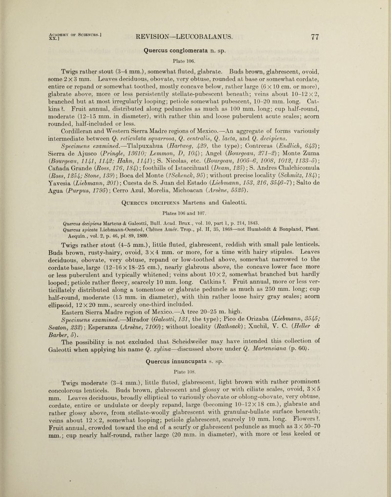 XX.] REVISION—LEUCOBALANUS. 77 Quercus conglomerata n. sp. Plate 106. Twigs rather stout (3-4 mm.), somewhat fluted, glabrate. Buds brown, glabrescent, ovoid, some 2x3 mm. Leaves deciduous, obovate, very obtuse, rounded at base or somewhat cordate, entire or repand or somewhat toothed, mostly concave below, rather large (G X 10 cm. or more), glabrate above, more or less persistently stellate-pubescent beneath; veins about 10-12x2, branched but at most irregularly looping; petiole somewhat pubescent, 10-20 mm. long. Cat¬ kins?. Fruit annual, distributed along peduncles as much as 100 mm. long; cup half-round, moderate (12-15 mm. in diameter), with rather thin and loose puberulent acute scales; acorn rounded, half-included or less. Cordilleran and Western Sierra Madre regions of Mexico.—An aggregate of forms variously intermediate between Q. reticulata squarrosa, Q. centralis, Q. laeta, and Q. decipiens. Specimens examined.—Tlalpuxahua (Hartweg, Jf.29, the type); Contreras (Endlich, 643); Sierra de Ajusco (Pringle, 13610; Lemmon, D, 104)-, Angel (Bourgeau, 271-2)] Monte Zuma (.Bourgeau, llJ+l, 114®i Hahn, 1141)] S. Nicolas, etc. (Bourgeau, 1005-6, 1008, 1012, 1133-5); Canada Grande (Ross, 176, 184) I foothills of Istaccihuatl (Beam, 125); S. Andres Chalchicomula (Ross, 1254; Stone, 139); Boca del Monte (fSchenck, 95); without precise locality (Schmitz, 184) Yavesia (Liebmann, 201); Cuesta de S. Juan del Estado (Liebmann, 153, 216, 3546-7); Salto de Agua (Purpus-, 1795)] Cerro Azul, Morelia, Michoacan (Arsene, 5525). Quercus decipiens Martens and Galeotti. Plates 106 and 107. Quercus decipiens Martens & Galeotti, Bull. Acad. Brux., vol. 10, part 1, p. 214, 1843. Quercus spicata Liebmann-Oersted, Chenes Amer. Trop., pi. H, 35, 1868—not Humboldt & Bonpland, Plant. Aequin., vol. 2, p. 46, pi. 89, 1809. Twigs rather stout (4-5 mm.), little fluted, glabrescent, reddish with small pale lenticels. Buds brown, rusty-hairy, ovoid, 3x4 mm. or more, for a time with hairy stipules. Leaves deciduous, obovate, very obtuse, repand or low-toothed above, somewhat narrowed to the cordate base, large (12-16x18-25 cm.), nearly glabrous above, the concave lower face more or less puberulent and typically whitened; veins about 10x2, somewhat branched but hardly looped; petiole rather fleecy, scarcely 10 mm. long. Catkins ?. Fruit annual, more or less ver- ticillately distributed along a tomentose or glabrate peduncle as much as 250 mm. long; cup half-round, moderate (15 mm. in diameter), with thin rather loose hairy gray scales; acorn ellipsoid, 12x20 mm., scarcely one-third included. Eastern Sierra Madre region of Mexico.—A tree 20-25 m. high. Specimens examined.—Mirador (Galeotti, 131, the type); Pico de Orizaba (Liebrmnn, 3545; Seaton, 232)] Esperanza (Arsene, 7100)] without locality (Rathsack)] Xuchil, V. C. (Heller & Barber, 5). The possibility is not excluded that Scheidweiler may have intended this collection of Galeotti when applying his name Q. xylina—discussed above under Q. Martensiana (p. 60). Quercus innuncupata s. sp. Plate 108. Twigs moderate (3-4 mm.), little fluted, glabrescent, light brown with rather prominent concolorous lenticels. Buds brown, glabrescent and glossy or with ciliate scales, ovoid, 3X5 mm. Leaves deciduous, broadly elliptical to variously obovate or oblong-obovate, very obtuse, cordate, entire or undulate or deeply repand, large (becoming 10-12x18 cm.), glabrate and rather glossy above, from stellate-woolly glabrescent with granular-bullate surface beneath; veins about 12x2, somewhat looping; petiole glabrescent, scarcely 10 mm. long. Flowers?. Fruit annual, crowded toward the end of a scurfy or glabrescent peduncle as much as 3 X 50-70 mm.; cup nearly half-round, rather large (20 mm. in diameter), with more or less keeled or