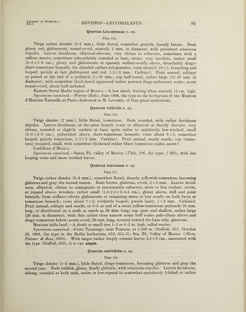 XX.] REVISION—LEUCOBALANUS. 81 Quercus Lecomteana n. sp. Plate 115. Twigs rather slender (2-3 mm.), little fluted, somewhat grayish, loosely lanate. Buds glossy red, glabrescent, round-ovoid, scarcely 2 mm. in diameter, with persistent setaceous stipules. Leaves deciduous, elliptical-obovate, very obtuse to subacute, sometimes with a callous mucro, sometimes subcordately rounded at base, entire, very revolute, rather small (2-4 X 5-9 cm.), glossy and glabrescent or sparsely stellate-scurfy above, detachably dingy- short-tomentose beneath, the abraded surface not granular; veins about 8-10 X 2, branching and looped; petiole at last glabrescent and red, 1.5X3 mm. Catkins?. Fruit annual, solitary or paired at the end of a peduncle 2x20 mm.; cup half-round, rather large (15-20 mm. in diameter), with somewhat thick-based appressed rather pointed dingy-pubescent scales; acorn round-ovoid, about half-included. Eastern Sierra Madre region of Mexico.—A low shrub, fruiting when scarcely 15 cm. high. Specimens examined.—Perote (Hahn, June 1866, the type in the herbarium of the Museum d’Histoire Naturelle at Paris; dedicated to M. Lecomte, of that great institution). Quercus vallicola n. sp. Plate 116. Twigs slender (2 mm.), little fluted, tomentose. Buds rounded, with rather deciduous stipules. Leaves deciduous, on the same branch ovate or elliptical or shortly obovate, very obtuse, rounded or slightly cordate at base, quite entire to undulately low-toothed, small (2-3 X3-5 cm.), puberulent above, short-tomentose beneath; veins about 8x2, somewhat looped; petiole tomentose, 1-2X5 mm. Catkins?. Fruit annual, nearly sessile; cup (imma¬ ture) rounded, small, with somewhat thickened rather blunt tomentose scales; acorn?. Cordillera of Mexico. Specimens examined.—Santa Fe, valley of Mexico (Uhde, 296, the type; f 295), with less looping veins and more toothed leaves. Quercus texcocana n. sp. Plate 117. Twigs rather slender (2-3 mm.), somewhat fluted, densely yellowish-tomentose, becoming glabrous and gray the second season. Buds brown, glabrous, ovoid, 2x4 mm. Leaves decid¬ uous, elliptical, obtuse to emarginate or mucronately subacute, more or less cordate, entire, or repand above, revolute, rather small (1.5-2.5 X 3-4.5 cm.), glossy above, dull and paler beneath, from stellate-velvety glabrescent or remaining more or less scurfy on both faces or tomentose beneath; veins about 7x2, evidently looped; petiole hairy, 1X3 mm. Catkins?. Fruit annual, solitary and sessile, or 2-3 at end of a stout yellow-tomentose peduncle 10 mm. long, or distributed on a stalk as much as 30 fnm. long; cup open and shallow, rather large (20 mm. in diameter), with thin rather close narrow acute buff scales pale-ciliate above and dingy-tomentose below; acorn ovoid, 20 mm. long, covered toward the base only, glaucous. Mexican table land.—A shrub or small tree 1-2 or 4-5 m. high, called encino. Specimens examined.—Cerro Texosingo, near Texcoco, at 2,400 m. (Endlich, 653, October 23, 1904, the type in the Berlin herbarium, 652, 651^-5); Sta. Fe, Valley of Mexico (fRose, Painter <& Rose, 8860). With larger rather deeply crenate leaves 3.5x8 cm., associated with the type (Endlich, 655), it is var. ampla. Quercus subtriloba n. sp. Plate 118. Twigs slender (1-2 mm.), little fluted, dingy-tomentose, becoming glabrous and gray the second year. Buds reddish, glossy, finally glabrate, with setaceous stipules. Leaves deciduous, oblong, rounded at both ends, entire or low-repand to somewhat spatulately 3-lobed or rather