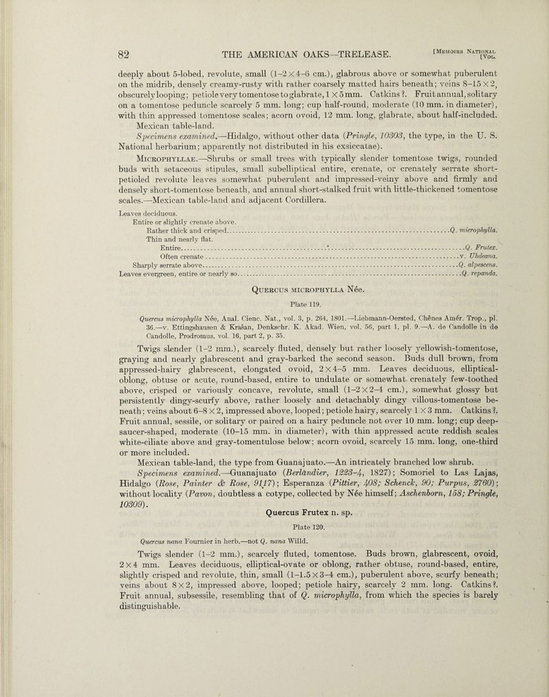 [Vol. deeply about 5-lobed, revolute, small (1-2 X4-6 cm.), glabrous above or somewhat puberulent on the midrib, densely creamy-rusty with rather coarsely matted hairs beneath; veins 8-15 X2y obscurely looping; petiole very tomentosetoglabrate, 1 X 5mm. Catkins?. Fruit annual, solitary on a tomentose peduncle scarcely 5 mm. long; cup half-round, moderate (10 mm. in diameter), with thin appressed tomentose scales; acorn ovoid, 12 mm. long, glabrate, about half-included. Mexican table-land. Specimens examined.—Hidalgo, without other data (Pringle, 10303, the type, in the U. S. National herbarium; apparently not distributed in his exsiccatae). Microphyllae.—Shrubs or small trees with typically slender tomentose twigs, rounded buds with setaceous stipules, small subelliptical entire, crenate, or crenately serrate short- petioled revolute leaves somewhat puberulent and impressed-veiny above and firmly and densely short-tomentose beneath, and annual short-stalked fruit with little-thickened tomentose scales.—Mexican table-land and adjacent Cordillera. Leaves deciduous. Entire or slightly crenate above. Rather thick and crisped.Q. microphylla. Thin and nearly flat. Entire.*.Q. Frutex. Often crenate.v. Uhdeana. Sharply serrate above.Q■ alpescens. Leaves evergreen, entire or nearly so...Q. repanda. Quercus microphylla Nee. Plate 119. Quercus microphylla Nee, Anal. Cienc. Nat., vol. 3, p. 264, 1801.—Liebmann-Oersted, Chenes Am6r. Trop., pi. 36.—v. Ettingshausen & Krasan, Denkschr. K. Akad. Wien, vol. 56, part 1, pi. 9.—A. de Candolle in de Candolle, Prodromus, vol. 16, part 2, p. 35. Twigs slender (1-2 mm.), scarcely fluted, densely but rather loosely yellowish-tomentose, graying and nearly glabrescent and gray-barked the second season. Buds dull brown, from appressed-hairy glabrescent, elongated ovoid, 2 X 4-5 mm. Leaves deciduous, elliptical- oblong, obtuse or acute, round-based, entire to undulate or somewhat crenately few-toothed above, crisped or variously concave, revolute, small (1-2 X 2-4 cm.), somewhat glossy but persistently dingy-scurfy above, rather loosely and detachably dingy villous-tomentose be¬ neath ; veins about 6-8 X 2, impressed above, looped; petiole hairy, scarcely 1x3 mm. Catkins ?. Fruit annual, sessile, or solitary or paired on a hairy peduncle not over 10 mm. long; cup deep- saucer-shaped, moderate (10-15 mm. in diameter), with thin appressed acute reddish scales white-ciliate above and gray-tomentulose below; acorn ovoid, scarcely 15 mm. long, one-third or more included. Mexican table-land, the type from Guanajuato.—An intricately branched low shrub. Specimens examined.—Guanajuato (.Berlhndier, 1223~4, 1827); Somoriel to Las Lajas, Hidalgo (Rose, Painter & Rose, 9117)] Esperanza (Pittier, 4-08; Schenck, 90; Purpus, 2760)] without locality (Pavon, doubtless a cotype, collected by Nee himself; Aschenborn, 158; Pringle, 10309). Quercus Frutex n. sp. Plate 120. Quercus nana Fournier in herb.—not Q. nana Willd. Twigs slender (1-2 mm.), scarcely fluted, tomentose. Buds brown, glabrescent, ovoid, 2x4 mm. Leaves deciduous, elliptical-ovate or oblong, rather obtuse, round-based, entire, slightly crisped and revolute, thin, small (1-1.5 X 3-4 cm.), puberulent above, scurfy beneath; veins about 8x2, impressed above, looped; petiole hairy, scarcely 2 mm. long. Catkins?. Fruit annual, subsessile, resembling that of Q. microphylla, from which the species is barely distinguishable.