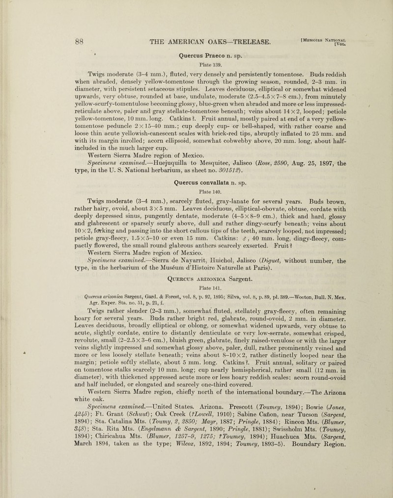 [VOL. Quercus Praeco n. sp. Plate 139. Twigs moderate (3-4 mm.), fluted, very densely and persistently tomentose. Buds reddish when abraded, densely yellow-tomentose through the growing season, rounded, 2-3 mm. in diameter, with persistent setaceous stipules. Leaves deciduous, elliptical or somewhat widened upwards, very obtuse, rounded at base, undulate, moderate (2.5-4.5X7-8 cm.), from minutely yellow-scurfy-tomentulose becoming glossy, blue-green when abraded and more or less impressed- reticulate above, paler and gray stellate-tomentose beneath; veins about 14x2, looped; petiole yellow-tomentose, 10 mm. long. Catkins ?. Fruit annual, mostly paired at end of a very yellow- tomentose peduncle 2x15-40 mm.; cup deeply cup- or bell-shaped, with rather coarse and loose thin acute yellowish-canescent scales with brick-red tips, abruptly inflated to 25 mm. and with its margin inrolled; acorn ellipsoid, somewhat cobwebby above, 20 mm. long, about half- included in the much larger cup. Western Sierra Madre region of Mexico. Specimens examined.—Huejuquilla to Mesquitec, Jalisco (Rose, 2590, Aug. 25, 1897, the type, in the U. S. National herbarium, as sheet no. 301512). Quercus convallata n. sp. Plate 140. Twigs moderate (3-4 mm.), scarcely fluted, gray-lanate for several years. Buds brown, rather hairy, ovoid, about 3x5 mm. Leaves deciduous, elliptical-obovate, obtuse, cordate with deeply depressed sinus, pungently dentate, moderate (4—5X8-9 cm.), thick and hard, glossy and glabrescent or sparsely scurfy above, dull and rather dingy-scurfy beneath; veins about 10 X 2, fctrking and passing into the short callous tips of the teeth, scarcely looped, not impressed; petiole gray-fleecy, 1.5x5-10 or even 15 mm. Catkins: 40 mm. long, dingy-fleecy, com¬ pactly flowered, the small round glabrous anthers scarcely exserted. Fruit ? Western Sierra Madre region of Mexico. Specimens examined— Sierra de Nayarrit, Huichol, Jalisco (Diguet, without number, the type, in the herbarium of the Museum d’Histoire Naturelle at Paris). Quercus arizonica Sargent. Plate 141. Quercus arizonica Sargent, Gard. & Forest, vol. 8, p. 92, 1895; Silva, vol. 8, p. 89, pi. 389.—Wooton, Bull. N. Mex. Agr. Exper. Sta. no. 51, p. 21, f. Twigs rather slender (2-3 mm.), somewhat fluted, stellately gray-fleecy, often remaining hoary for several years. Buds rather bright red, glabrate, round-ovoid, 2 mm. in diameter. Leaves deciduous, broadly elliptical or oblong, or somewhat widened upwrards, very obtuse to acute, slightly cordate, entire to distantly denticulate or very low-serrate, somewhat crisped, revolute, small (2-2.5 X 3-6 cm.), bluish green, glabrate, finely raised-venulose or with the larger veins slightly impressed and somewhat glossy above, paler, dull, rather prominently veined and more or less loosely stellate beneath; veins about 8-10x2, rather distinctly looped near the margin; petiole softly stellate, about 5 mm. long. Catkins?. Fruit annual, solitary or paired on tomentose stalks scarcely 10 mm. long; cup nearly hemispherical, rather small (12 mm. in diameter), with thickened appressed acute more or less hoary reddish scales: acorn round-ovoid and half included, or elongated and scarcely one-third covered. Western Sierra Madre region, chiefly north of the international boundary.—The Arizona white oak. Specimens examined.—United States. Arizona. Prescott (Tourney, 1894); Bowie (Jones, 424-5); Ft. Grant (Schuut); Oak Creek (?Lowell, 1910); Sabine Canon, near Tucson (Sargent, 1894); Sta. Catalina Mts. (Toumy, 2, 2850; Mayr, 1887; Pringle, 1884); Rincon Mts. (Blumer, 348); Sta. Rita Mts. (Engelmann cfc Sargent, 1890; Pringle, 1881); Swissholm Mts. (Tourney, 1894); Chiricahua Mts. (Blumer, 1257-9, 1275; f Tourney, 1894); Huachuca Mts. (Sargent, March 1894, taken as the type; Wilcox, 1892, 1894; Tourney, 1893-5). Boundary Region.