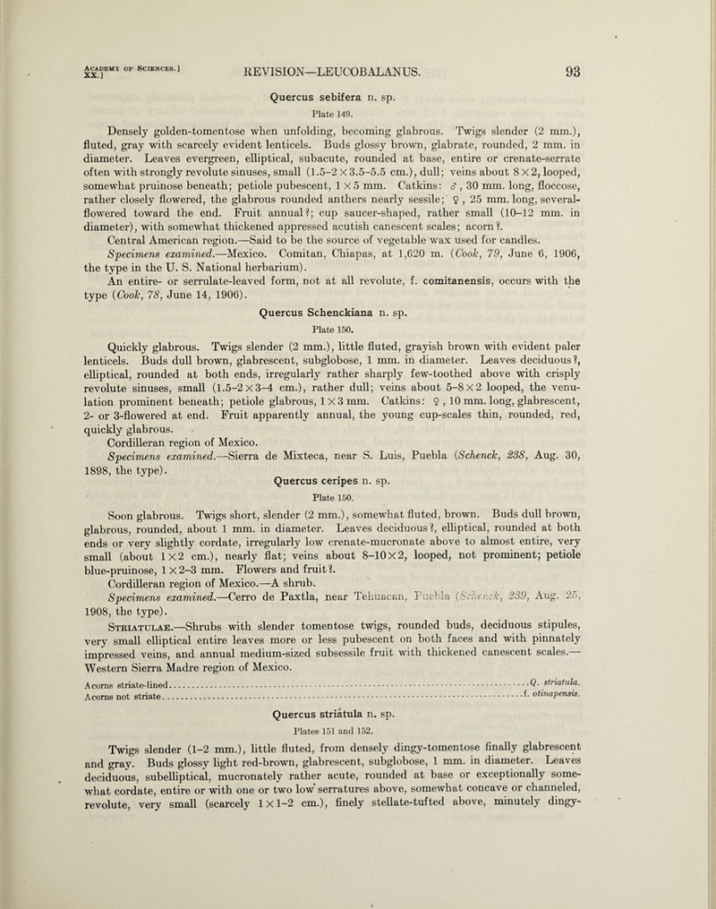 XX.] REVISION—LEUCOBALANUS. 93 Quercus sebifera n. sp. Plate 149. Densely golden-tomentose when unfolding, becoming glabrous. Twigs slender (2 mm.), fluted, gray with scarcely evident lenticels. Buds glossy brown, glabrate, rounded, 2 mm. in diameter. Leaves evergreen, elliptical, subacute, rounded at base, entire or crenate-serrate often with strongly revolute sinuses, small (1.5-2 X 3.5-5.5 cm.), dull; veins about 8x2, looped, somewhat pruinose beneath; petiole pubescent, 1x5 mm. Catkins: , 30 mm. long, floccose, rather closely flowered, the glabrous rounded anthers nearly sessile; 9 , 25 mm. long, several- flowered toward the end. Fruit annual?; cup saucer-shaped, rather small (10-12 mm. in diameter), with somewhat thickened appressed acutish canescent scales; acorn ?. Central American region.—Said to be the source of vegetable wax used for candles. Specimens examined.—Mexico. Comitan, Chiapas, at 1,620 m. (Cook, 79, June 6, 1906, the type in the U. S. National herbarium). An entire- or serrulate-leaved form, not at all revolute, f. comitanensis, occurs with the type (Cook, 78, June 14, 1906). Quercus Schenckiana n. sp. Plate 150. Quickly glabrous. Twigs slender (2 mm.), little fluted, grayish brown with evident paler lenticels. Buds dull brown, glabrescent, subglobose, 1 mm. in diameter. Leaves deciduous ?, elliptical, rounded at both ends, irregularly rather sharply few-toothed above with crisply revolute sinuses, small (1.5-2 X3-4 cm.), rather dull; veins about 5-8x2 looped, the venu- lation prominent beneath; petiole glabrous, 1x3 mm. Catkins: $ , 10 mm. long, glabrescent, 2- or 3-flowered at end. Fruit apparently annual, the young cup-scales thin, rounded, red, quickly glabrous. Cordilleran region of Mexico. Specimens examined.—Sierra de Mixteca, near S. Luis, Puebla (Schenck, 238, Aug. 30, 1898, the type). Quercus ceripes n. sp. Plate 150. Soon glabrous. Twigs short, slender (2 mm.), somewhat fluted, brown. Buds dull brown, glabrous, rounded, about 1 mm. in diameter. Leaves deciduous ?, elliptical, rounded at both ends or very slightly cordate, irregularly low crenate-mucronate above to almost entire, very small (about 1x2 cm.), nearly flat; veins about 8-10x2, looped, not prominent; petiole blue-pruinose, 1 X 2-3 mm. Flowers and fruit ?. Cordilleran region of Mexico.—A shrub. Specimens examined.—Cerro de Paxtla, near Tehuacan, Puebla (Schenck, 239, Aug. 25, 1908, the type). Striatulae.—Shrubs with slender tomentose twigs, rounded buds, deciduous stipules, very small elliptical entire leaves more or less pubescent on both faces and with pinnately impressed veins, and annual medium-sized subsessile fruit with thickened canescent scales. Western Sierra Madre region of Mexico. Acorns striate-lined.striatula. Acorns not striate.otinapensis. Quercus striatula n. sp. Plates 151 and 152. Twigs slender (1-2 mm.), little fluted, from densely dingy-tomentose finally glabrescent and gray. Buds glossy light red-brown, glabrescent, subglobose, 1 mm. in diameter. Leaves deciduous, subelliptical, mucronately rather acute, rounded at base or exceptionally some¬ what cordate, entire or with one or two low serratures above, somewhat concave or channeled, revolute, very small (scarcely 1X1—2 cm.), finely stellate-tufted above, minutely dingy-