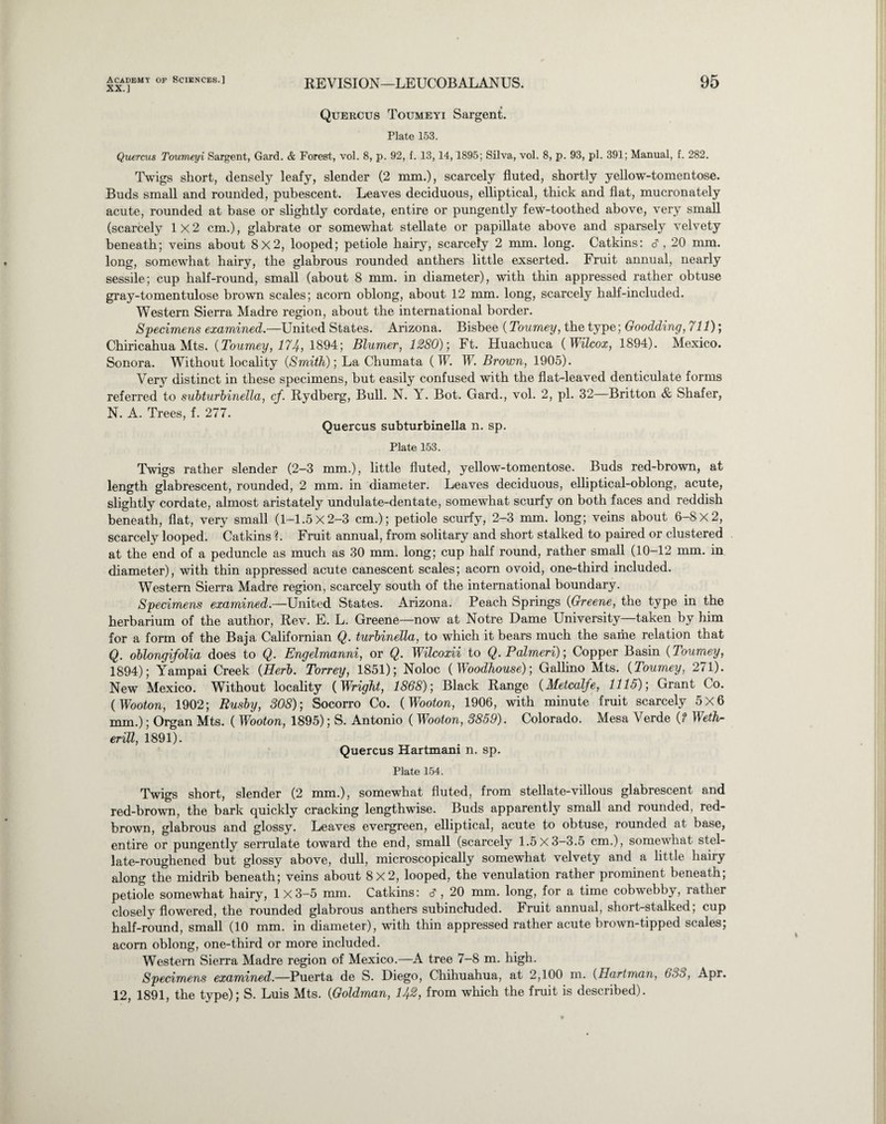 XX.] REVISION—LEUCOBALANUS. Quercus Toumeyi Sargent. Plate 153. Quercus Toumeyi Sargent, Gard. & Forest, vol. 8, p. 92, f. 13,14,1895; Silva, vol. 8, p. 93, pi. 391; Manual, f. 282. Twigs short, densely leafy, slender (2 mm.), scarcely fluted, shortly yellow-tomentose. Buds small and rounded, pubescent. Leaves deciduous, elliptical, thick and flat, mucronately acute, rounded at base or slightly cordate, entire or pungently few-toothed above, very small (scarcely 1x2 cm.), glabrate or somewhat stellate or papillate above and sparsely velvety beneath; veins about 8X2, looped; petiole hairy, scarcely 2 mm. long. Catkins: 3, 20 mm. long, somewhat hairy, the glabrous rounded anthers little exserted. Fruit annual, nearly sessile; cup half-round, small (about 8 mm. in diameter), with thin appressed rather obtuse gray-tomentulose brown scales; acorn oblong, about 12 mm. long, scarcely half-included. Western Sierra Madre region, about the international border. Specimens examined.—United States. Arizona. Bisbee (Tourney, the type; Goodding, 711); Chiricahua Mts. (Tourney, 174, 1894; Blumer, 1280); Ft. Huachuca (Wilcox, 1894). Mexico. Sonora. Without locality {Smith); La Chumata ( W. W. Brown, 1905). Very distinct in these specimens, but easily confused with the flat-leaved denticulate forms referred to subturbinella, cf. Rydberg, Bull. N. Y. Bot. Gard., vol. 2, pi. 32—Britton & Shafer, N. A. Trees, f. 277. Quercus subturbinella n. sp. Plate 153. Twigs rather slender (2—3 mm.), little fluted, yellow-tomentose. Buds red-brown, at length glabrescent, rounded, 2 mm. in diameter. Leaves deciduous, elliptical-oblong, acute, slightly cordate, almost aristately undulate-dentate, somewhat scurfy on both faces and reddish beneath, flat, very small (1—1.5x2—3 cm.); petiole scurfy, 2—3 mm. long; veins about 6-8x2, scarcely looped. Catkins ?. Fruit annual, from solitary and short stalked to paired or clustered at the end of a peduncle as much as 30 mm. long; cup half round, rather small (10-12 mm. in diameter), with thin appressed acute canescent scales; acorn ovoid, one-third included. Western Sierra Madre region, scarcely south of the international boundary. Specimens examined.—United States. Arizona. Peach Springs {Greene, the type in the herbarium of the author, Rev. E. L. Greene—now at Notre Dame University—taken by him for a form of the Baja Californian Q. turhinella, to which it bears much the same relation that Q. oblongifolia does to Q. Engelmanni, or Q. Wilcoxii to Q. Paimeri); Copper Basin {Tourney, 1894); Yampai Creek {Herb. Torrey, 1851); Noloc {Woodhouse); Gallino Mts. {Tourney, 271). New Mexico. Without locality (Wright, 1868); Black Range {Metcalfe, 1115); Grant Co. {Wooton, 1902; Rusby, 308); Socorro Co. (Wooton, 1906, with minute fruit scarcely 5x6 mm.); Organ Mts. ( Wooton, 1895); S. Antonio ( Wooton, 3859). Colorado. Mesa Verde {? Weth- erill, 1891). Quercus Hartmani n. sp. Plate 154. Twigs short, slender (2 mm.), somewhat fluted, from stellate-villous glabrescent and red-brown, the bark quickly cracking lengthwise. Buds apparently small and rounded, red- brown, glabrous and glossy. Leaves evergreen, elliptical, acute to obtuse, rounded at base, entire or pungently serrulate toward the end, small (scarcely 1.5x3—3.5 cm.), somewhat stel- late-roughened but glossy above, dull, microscopically somewhat velvety and a little hairy along the midrib beneath; veins about 8x2, looped, the venulation rather prominent beneath; petiole somewhat hairy, 1 X3—5 mm. Catkins: 3, 20 mm. long, for a time cobwebby, rather closely flowered, the rounded glabrous anthers subinchided. Fruit annual, short-stalked; cup half-round, small (10 mm. in diameter), with thin appressed rather acute brown-tipped scales; acorn oblong, one-third or more included. Western Sierra Madre region of Mexico.—A tree 7-8 m. high. Specimens examined.—Puerta de S. Diego, Chihuahua, at 2,100 m. {Hartman, 633, Apr. 12, 1891, the type); S. Luis Mts. {Goldman, 142, from which the fruit is described).