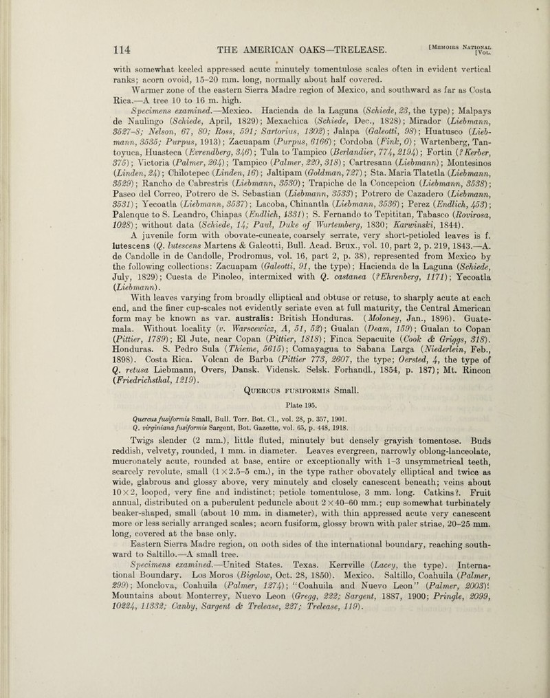 [Vol. with somewhat keeled appressed acute minutely tomentulose scales often in evident vertical ranks; acorn ovoid, 15-20 mm. long, normally about half covered. Warmer zone of the eastern Sierra Madre region of Mexico, and southward as far as Costa Rica.—A tree 10 to 16 m. high. Specimens examined.—Mexico. Hacienda de la Laguna (Schiede, 23, the type); Malpays de Naulingo {Schiede, April, 1829); Mexachica {Schiede, Dec., 1828); Mirador {Liebmann, 3527-8; Nelson, 67, 80; Ross, 591; Sartorius, 1302); Jalapa {Galeotti, 98); Huatusco {Lieb¬ mann, 3535; Purpus, 1913); Zacuapam {Purpus, 6166); Cordoba {Fink, 0); Wartenberg, Tan- toyuca, Huasteca {Evrendberg, 346); Tula to Tampico {Berlandier, 774, 2194); Fortin {fKerber, 375); Victoria {Palmer, 264); Tampico {Palmer, 220, 318); Cartresana {Liebmann); Montesinos {Linden, 24); Chilotepec {Linden, 16); Jaltipam {Goldman, 727); Sta. Maria Tlatetla {Liebmann, 3529); Rancho de Cabrestris {Liebmann, 3530); Trapiche de la Concepcion {Liebmann, 3538); Paseo del Correo, Potrero de S. Sebastian {Liebmann, 3533); Potrero de Cazadero {Liebmann, 3531); Yecoatla {Liebmann, 3537); Lacoba, Chinantla {Liebmann, 3536); Perez {Endlich, 453); Palenque to S. Leandro, Chiapas (Endlich, 1331); S. Fernando to Tepititan, Tabasco {Rovirosa, 1028); without data {Schiede, 14; Paul, Duke of Wurtemberg, 1830; Karwinski, 1844). A juvenile form with obovate-cuneate, coarsely serrate, very short-petioled leaves is f. lutescens {Q. lutescens Martens & Galeotti, Bull. Acad. Brux., vol. 10, part 2, p. 219, 1843.—A. de Candolle in de Candolle, Prodromus, vol. 16, part 2, p. 38), represented from Mexico by the following collections: Zacuapam {Galeotti, 91, the type); Hacienda de la Laguna {Schiede, July, 1829); Cuesta de Pinoleo, intermixed with Q. castanea {fEhrenberg, 1171); Yecoatla {Liebmann). With leaves varying from broadly elliptical and obtuse or retuse, to sharply acute at each end, and the finer cup-scales not evidently seriate even at full maturity, the Central American form may be known as var. australis: British Honduras. {Moloney, Jan., 1896). Guate¬ mala. Without locality {v. Warscewicz, A, 51, 52); Gualan {Deam, 159); Gualan to Copan {Pittier, 1789); El Jute, near Copan {Pittier, 1818); Finca Sepacuite {Cook cfc Griggs, 318). Honduras. S. Pedro Sula {Thieme, 5615); Comayagua to Sabana Larga {Niederlein, Feb., 1898). Costa Rica. Volcan de Barba {Pittier 773, 2607, the type; Oersted, 4, the type of Q. retusa Liebmann, Overs, Dansk. Vidensk. Selsk. Forhandl., 1854, p. 187); Mt. Rincon {Friedrichsthal, 1219). Quercus fusiformis Small. Plate 195. Quercus fusiformis Small, Bull. Torr. Bot. Cl., vol. 28, p. 357, 1901. Q. virginiana fusiformis Sargent, Bot. Gazette, vol. 65, p. 448, 1918. Twigs slender (2 mm.), little fluted, minutely but densely grayish tomentose. Buds reddish, velvety, rounded, 1 mm. in diameter. Leaves evergreen, narrowly oblong-lanceolate, mucronately acute, rounded at base, entire or exceptionally with 1-3 unsymmetrical teeth, scarcely revolute, small (1 X2.5-5 cm.), in the type rather obovately elliptical and twice as wide, glabrous and glossy above, very minutely and closely canescent beneath; veins about 10 X2, looped, very fine and indistinct; petiole tomentulose, 3 mm. long. Catkins?. Fruit annual, distributed on a puberulent peduncle about 2 X 40-60 mm.; cup somewhat turbinately beaker-shaped, small (about 10 mm. in diameter), with thin appressed acute very canescent more or less serially arranged scales; acorn fusiform, glossy brown with paler striae, 20-25 mm. long, covered at the base only. Eastern Sierra Madre region, on ooth sides of the international boundary, reaching south¬ ward to Saltillo.—A small tree. Specimens examined.—United States. Texas. Kerrville {Lacey, the type). Interna¬ tional Boundary. Los Moros {Bigelow, Oct. 28, 1850). Mexico. Saltillo, Coahuila {Palmer, 299); Monclova, Coahuila {Palmer, 1274); “Coahuila and Nuevo Leon” {Palmer, 2003)‘. Mountains about Monterrey, Nuevo Leon {Gregg, 222; Sargent, 1887, 1900; Pringle, 2099, 10224, 11332; Canby, Sargent & Trelease, 227; Trelease, 119).