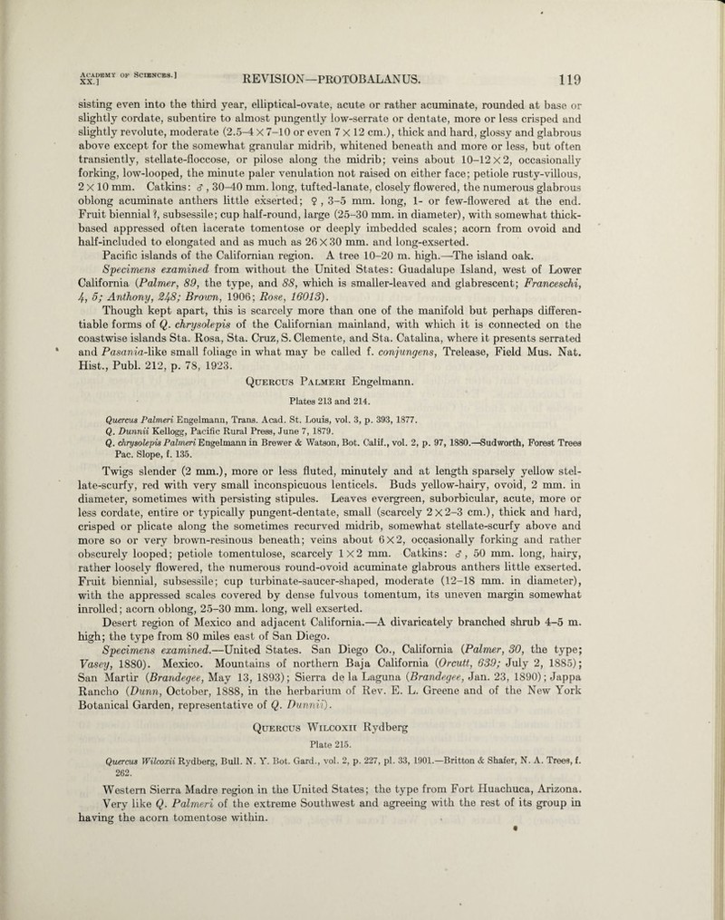 XX.] REVISION—PROTOBALANUS. 119 sisting even into the third year, elliptical-ovate, acute or rather acuminate, rounded at base or slightly cordate, subentire to almost pungently low-serrate or dentate, more or less crisped and slightly revolute, moderate (2.5-4 X 7-10 or even 7x12 cm.), thick and hard, glossy and glabrous above except for the somewhat granular midrib, whitened beneath and more or less, but often transiently, stellate-floccose, or pilose along the midrib; veins about 10-12x2, occasionally forking, low-looped, the minute paler venulation not raised on either face; petiole rusty-villous, 2x10 mm. Catkins: d , 30-40 mm. long, tufted-lanate, closely flowered, the numerous glabrous oblong acuminate anthers little exserted; 9 , 3-5 mm. long, 1- or few-flowered at the end. Fruit biennial ?, subsessile; cup half-round, large (25-30 mm. in diameter), with somewhat thick- based appressed often lacerate tomentose or deeply imbedded scales; acorn from ovoid and half-included to elongated and as much as 26 X 30 mm. and long-exserted. Pacific islands of the Californian region. A tree 10-20 m. high.—The island oak. Specimens examined from without the United States: Guadalupe Island, west of Lower California (Palmer, 89, the type, and 88, which is smaller-leaved and glabrescent; Franceschi, J, 5; Anthony, 2^8; Brown, 1906; Rose, 16013). Though kept apart, this is scarcely more than one of the manifold but perhaps differen¬ tiable forms of Q. chrysolepis of the Californian mainland, with which it is connected on the coastwise islands Sta. Rosa, Sta. Cruz, S. Clemente, and Sta. Catalina, where it presents serrated and Pasania-hke small foliage in what may be called f. conjungens, Trelease, Field Mus. Nat. Hist., Publ. 212, p. 78, 1923. Quercus Palmeri Engelmann. Plates 213 and 214. Quercus Palmeri Engelmann, Trans. Acad. St. Louis, vol. 3, p. 393, 1877. Q. Dunnii Kellogg, Pacific Rural Press, June 7, 1879. Q. chrysolepis Palmeri Engelmann in Brewer & Watson, Bot. Calif., vol. 2, p. 97, 1880.—Sudworth, Forest Trees Pac. Slope, f. 135. Twigs slender (2 mm.), more or less fluted, minutely and at length sparsely yellow stel¬ late-scurfy, red with very small inconspicuous lenticels. Buds yellow-hairy, ovoid, 2 mm. in diameter, sometimes with persisting stipules. Leaves evergreen, suborbicular, acute, more or less cordate, entire or typically pungent-dentate, small (scarcely 2x2-3 cm.), thick and hard, crisped or plicate along the sometimes recurved midrib, somewhat stellate-scurfy above and more so or very brown-resinous beneath; veins about 6X2, occasionally forking and rather obscurely looped; petiole tomentulose, scarcely 1X2 mm. Catkins: <?, 50 mm. long, hairy, rather loosely flowered, the numerous round-ovoid acuminate glabrous anthers little exserted. Fruit biennial, subsessile; cup turbinate-saucer-shaped, moderate (12-18 mm. in diameter), with the appressed scales covered by dense fulvous tomentum, its uneven margin somewhat inrolled; acorn oblong, 25-30 mm. long, well exserted. Desert region of Mexico and adjacent California.—A divaricately branched shrub 4-5 m. high; the type from 80 miles east of San Diego. Specimens examined.—United States. San Diego Co., California (Palmer, 30, the type; Vasey, 1880). Mexico. Mountains of northern Baja California (Orcutt, 639; July 2, 1885); San Martir (Brandegee, May 13, 1893); Sierra de la Laguna (Brandegee, Jan. 23, 1890); Jappa Rancho (Dunn, October, 1888, in the herbarium of Rev. E. L. Greene and of the New York Botanical Garden, representative of Q. Dunnii). Quercus Wilcoxii Rydberg Plate 215. Quercus Wilcoxii Rydberg, Bull. N. Y. Bot. Gard., vol. 2, p. 227, pi. 33, 1901.—Britton & Shafer, N. A. Treea, f. 262. Western Sierra Madre region in the United States; the type from Fort Huachuca, Arizona. Very like Q. Palmeri of the extreme Southwest and agreeing with the rest of its group in having the acorn tomentose within.