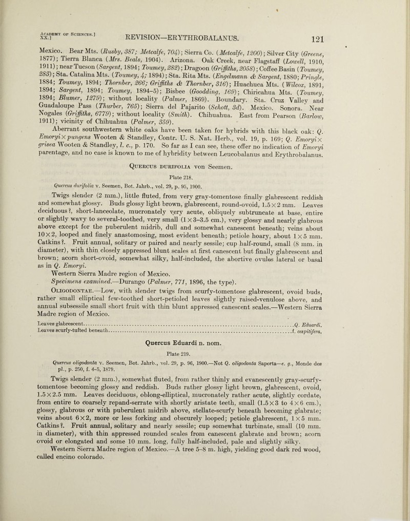 XX.] REVISION—ERYTHROBALANUS. 121 Mexico, Bear Mts. {Rmby, 387; Metcalfe, 704); Sierra Co. (Metcalfe, 1200); Silver City {Greene, 1S77); Tierra Blanca {Mrs. Beals, 1904). Arizona. Oak Creek, near Flagstaff {Lowell, 1910, 1911); near Tucson {Sargent, 1894; Tourney, 282); Dragoon {Griffiths, 2058); Coffee Basin (Tourney, 283); Sta. Catalina Mts. {Tourney, 4; 1894); Sta, Rita Mts. {Engelmann & Sargent, 1880; Pringle, 1884, Tourney, 1894; Thornber, 266; Griffiths & Thornber, 316); Huachuca Mts. {Wilcox, 1891, 1894, Sargent, 1894; Tourney, 1894-5); Bisbee {Goodding, 169); Chiricahua Mts. {Tourney, 1894; Blunter, 1279); without locality {Palmer, 1869). Boundary. Sta. Cruz Valley and Guadaloupe Pass {Thurber, 765); Sierra del Pajarito {Schott, 3d). Mexico. Sonora. Near Nogales {Griffiths, 6779); without locality {Smith). Chihuahua. East from Pearson {Barlow, 1911); vicinity of Chihuahua {Palmer, 359). Aberrant southwestern white oaks have been taken for hybrids with this black oak: Q. ErnoryiXpungens Wooten & Standley, Contr. U. S. Nat. Herb., vol. 19, p. 169; Q. Emoryix grisea Wooten & Standley, l. c., p. 170. So far as I can see, these offer no indication of Ernoryi parentage, and no case is known to me of hybridity between Leucobalanus and Erythrobalanus. Quercus durifolia von Seemen. Plate 218. Quercus durijolia v. Seemen, Bot. Jahrb., vol. 29, p. 95, 1900. Twigs slender (2 mm.), little fluted, from very gray-tomentose finally glabrescent reddish and somewhat glossy. Buds glossy light brown, glabrescent, roimd-ovoid, 1.5 X 2 mm. Leaves deciduous ?, short-lanceolate, mucronately very acute, obliquely subtruncate at base, entire or slightly wavy to several-toothed, very small (1 X 3-3.5 cm.), very glossy and nearly glabrous above except for the puberulent midrib, dull and somewhat canescent beneath; veins about 10X2, looped and finely anastomosing, most evident beneath; petiole hoary, about 1x5 mm. Catkins?. Fruit annual, solitary or paired and nearly sessile; cup half-round, small (8 mm. in diameter), with thin closely appressed blunt scales at first canescent but finally glabrescent and brown; acorn short-ovoid, somewhat silky, half-included, the abortive ovules lateral or basal as in Q. Ernoryi. Western Sierra Madre region of Mexico. Specimens examined.—Durango {Palmer, 771, 1896, the type). Oligodontae.—Low, with slender twigs from scurfy-tomentose glabrescent, ovoid buds, rather small elliptical few-toothed short-petioled leaves slightly raised-venulose above, and annual subsessile small short fruit with thin blunt appressed canescent scales.—Western Sierra Madre region of Mexico. Leaves glabrescent.Q. Eduardi. Leaves scurfy-tufted beneath.f cespitifera. Quercus Eduardi n. nom. Plate 219. Quercus oligodonta v. Seemen, Bot. Jahrb., vol. 29, p. 96, 1900.—Not Q. oligodonta Saporta—e. g., Monde des pi., p. 250, f. 4-5, 1879. Twigs slender (2 mm.), somewhat fluted, from rather thinly and evanescently gray-scurfy- tomentose becoming glossy and reddish. Buds rather glossy light brown, glabrescent, ovoid, 1.5 X 2.5 mm. Leaves deciduous, oblong-elliptical, mucronately rather acute, slightly cordate, from entire to coarsely repand-serrate with shortly aristate teeth, small (1.5x3 to 4x6 cm.), glossy, glabrous or with puberulent midrib above, stellate-scurfy beneath becoming glabrate; veins about 6x2, more or less forking and obscurely looped; petiole glabrescent, 1x5 mm. Catkins?. Fruit annual, solitary and nearly sessile; cup somewhat turbinate, small (10 mm. in diameter), with thin appressed rounded scales from canescent glabrate and brown; acorn ovoid or elongated and some 10 mm. long, fully half-included, pale and slightly silky. Western Sierra Madre region of Mexico.—A tree 5-8 m. high, yielding good dark red wood, called encino Colorado.