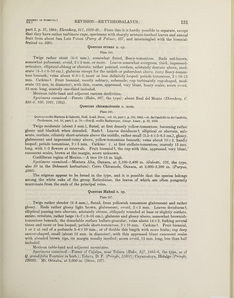 XX.] REVISION—ERYTHROBALANUS. 131 part 2, p. 57, 1864; Ehrenberg, 911, 1022-3). From this it is hardly possible to separate, except that they have rather turbinate cups, specimens with sharply aristate-toothed leaves and annual fruit from about San Luis Potosi (Parry & Palmer, 837, and intermingled with the biennial- fruited no. 836). Quercus errans n. sp. Plate 245. Twigs rather stout (4-5 mm.), somewhat fluted, fleecy-tomentose. Buds red-brown, somewhat pubescent, ovoid, 2x3 mm. or more. Leaves somewhat evergreen, thick, impressed- reticulate, elliptical-oblong or obovate, rather pointed, cordate, aristately dentate above, mod¬ erate (4-5 X 6-10 cm.), glabrous except for the midrib or puberulent above, rusty fleecy-tomen¬ tose beneath; veins about 6-8x2, more or less definitely looped: petiole tomentose, 2x10-15 mm. Catkins?. Fruit biennial, mostly solitary, subsessile; cup turbinately cup-shaped, mod¬ erate (15 mm. in diameter), with thin, coarse, appressed, very blunt, hoary scales; acorn ovoid, 15 mm. long, scarcely one-third included. Mexican table-land and adjacent eastern declivities. Specimens examined.—Perote {Hahn, 667, the type); about Real del Monte (Ehrenberg, C. 895-6, 920, 1021, 1284). Quercus chicamolensis n. nom. Plate 246. Quercus mollis Martens & Galeotti, Bull. Acad. Brux., vol. 10, part 1, p. 216,1843.—A. de Candolle in de Candolle, Prodromus, vol. 16, part 2, p. 78.—Not Q. mollis Rafinesque, Alsogr. Amer., p. 22, 1838. Twigs moderate (about 3 mm.), fluted, at first densely yellow-tomentose, becoming rather glossy and blackish when denuded. Buds?. Leaves deciduous?, elliptical or obovate, sub¬ acute, cordate, ciliately short-aristate above the middle, rather small (3.5-4 X 5-6.5 cm.), glossy, glabrescent and impressed-veiny above, yellow-tomentose beneath; veins about 10x2, hardly looped; petiole tomentose, 2x5 mm. Catkins: 2 , at first stellate-tomentose, scarcely 15 mm. long, with 1-3 flowers at intervals. Fruit biennial?, the cup with thin, appressed, very blunt,* canescent scales, brown at the margin, acorn unknown. Cordilleran region of Mexico.—A tree 10-15 m. high. Specimens examined.—Mixteca Alta, Oaxaca, at 2,100-2,400 m. (Galeotti, 102, the type, also 99 in the Delessert herbarium); Cerro Chicamole, Oaxaca, at 3,000-3,200 m. (Purpus, 4088). The stigmas appear to be broad in the type, and it is possible that the species belongs among the white oaks of the group Reticulatae, the leaves of which are often pungently mucronate from the ends of the principal veins. Quercus Hahnii n. sp. Plate 247. Twigs rather slender (2-3 mm.), fluted, from yellowish tomentose glabrescent and rather glossy. Buds rather glossy light brown, glabrescent, ovoid, 2x3 mm. Leaves deciduous?, elliptical passing into obovate, aristately obtuse, obliquely rounded at base or slightly cordate, entire, revolute, rather large (4-7 X9-16 cm.), glabrous and glossy above, somewhat brownish- tomentose beneath, the denudable surface bullate-granular; veins about 14x2, forking several times and more or less looped; petiole short-tomentose, 2x10 mm. Catkins ?. Fruit biennial, 1 or 2 at end of a peduncle 3-4 X 10 mm., or of double this length with more fruits; cup deep saucer-shaped, small (about 12 mm. in diameter), with thin appressed blunt canescent scales with abraded brown tips, its margin usually inrolled; acorn ovoid, 15 mm. long, less than half included. Mexican table-land and adjacent mountains. Specimens examined.—Forest of Cajalpa, near Toluca (Hahn, 347, 1865-6, the type, as of Q. grandifolia Fournier in herb.); Eslava, D. F. (Pringle, 11851); Cuyamaloya, Hidalgo (Pringle, 13829). Mt. Orizaba, at 3,000 m. {Stone, 137).