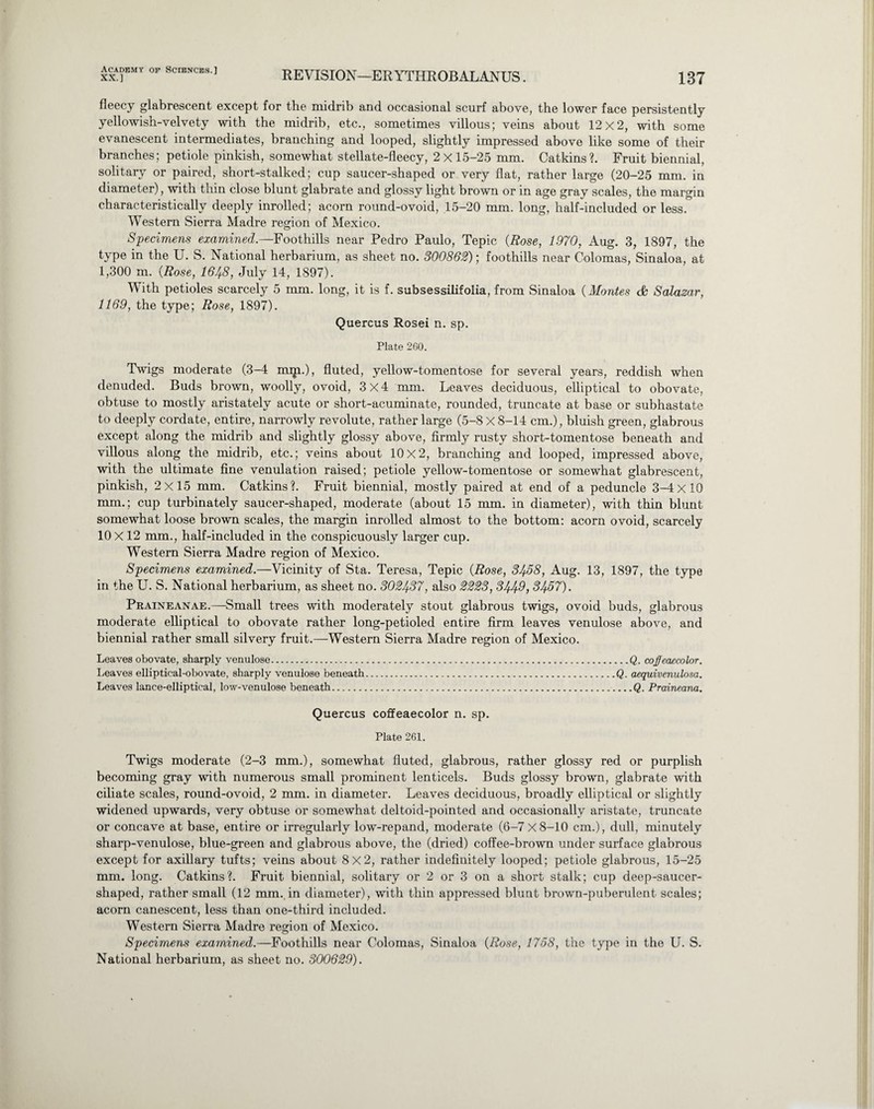 XX.] REVISION—ERYTHROBALANUS. 137 fleecy glabrescent except for the midrib and occasional scurf above, the lower face persistently yellowish-velvety with the midrib, etc., sometimes villous; veins about 12x2, with some evanescent intermediates, branching and looped, slightly impressed above like some of their branches; petiole pinkish, somewhat stellate-fleecy, 2x15-25 mm. Catkins?. Fruit biennial, solitary or paired, short-stalked; cup saucer-shaped or very flat, rather large (20-25 mm. in diameter), with thin close blunt glabrate and glossy light brown or in age gray scales, the margin characteristically deeply inrolled; acorn round-ovoid, 15-20 mm. long, half-included or less. Western Sierra Madre region of Mexico. Specimens examined.—Foothills near Pedro Paulo, Tepic {Rose, 1970, Aug. 3, 1897, the type in the U. S. National herbarium, as sheet no. 300862); foothills near Colomas, Sinaloa, at 1,300 m. {Rose, 1648, July 14, 1897). With petioles scarcely 5 mm. long, it is f. subsessilifolia, from Sinaloa {Montes & Salazar, 1169, the type; Rose, 1897). Quercus Rosei n. sp. Plate 260. Twigs moderate (3-4 miji.), fluted, yellow-tomentose for several years, reddish when denuded. Buds brown, woolly, ovoid, 3X4 mm. Leaves deciduous, elliptical to obovate, obtuse to mostly aristatelv acute or short-acuminate, rounded, truncate at base or subhastate to deeply cordate, entire, narrowly revolute, rather large (5-8 X 8-14 cm.), bluish green, glabrous except along the midrib and slightly glossy above, firmly rusty short-tomentose beneath and villous along the midrib, etc.; veins about 10x2, branching and looped, impressed above, with the ultimate fine venulation raised; petiole yellow-tomentose or somewhat glabrescent, pinkish, 2x15 mm. Catkins?. Fruit biennial, mostly paired at end of a peduncle 3-4x10 mm.; cup turbinately saucer-shaped, moderate (about 15 mm. in diameter), with thin blunt somewhat loose brown scales, the margin inrolled almost to the bottom: acorn ovoid, scarcely 10 X 12 mm., half-included in the conspicuously larger cup. Western Sierra Madre region of Mexico. Specimens examined.—Vicinity of Sta. Teresa, Tepic {Rose, 3458, Aug. 13, 1897, the type in the U. S. National herbarium, as sheet no. 302437, also 2223, 3449, 3457). Praineanae.—Small trees with moderately stout glabrous twigs, ovoid buds, glabrous moderate elliptical to obovate rather long-petioled entire firm leaves venulose above, and biennial rather small silvery fruit.—Western Sierra Madre region of Mexico. Leaves obovate, sharply venulose.Q. coffeaecolor. Leaves elliptical-obovate, sharply venulose beneath.Q. aequivenulosa. Leaves lance-elliptical, low-venulose beneath.Q. Praineana. Quercus coffeaecolor n. sp. Plate 261. Twigs moderate (2-3 mm.), somewhat fluted, glabrous, rather glossy red or purplish becoming gray with numerous small prominent lenticels. Buds glossy brown, glabrate with ciliate scales, round-ovoid, 2 mm. in diameter. Leaves deciduous, broadly elliptical or slightly widened upwards, very obtuse or somewhat deltoid-pointed and occasionally aristate, truncate or concave at base, entire or irregularly low-repand, moderate (6-7 X8-10 cm.), dull, minutely sharp-venulose, blue-green and glabrous above, the (dried) coffee-brown under surface glabrous except for axillary tufts; veins about 8x2, rather indefinitely looped; petiole glabrous, 15-25 mm. long. Catkins?. Fruit biennial, solitary or 2 or 3 on a short stalk; cup deep-saucer- shaped, rather small (12 mm. in diameter), with thin appressed blunt brown-puberulent scales; acorn canescent, less than one-third included. Western Sierra Madre region of Mexico. Specimens examined.—Foothills near Colomas, Sinaloa {Rose, 1758, the type in the U. S. National herbarium, as sheet no. 300629).