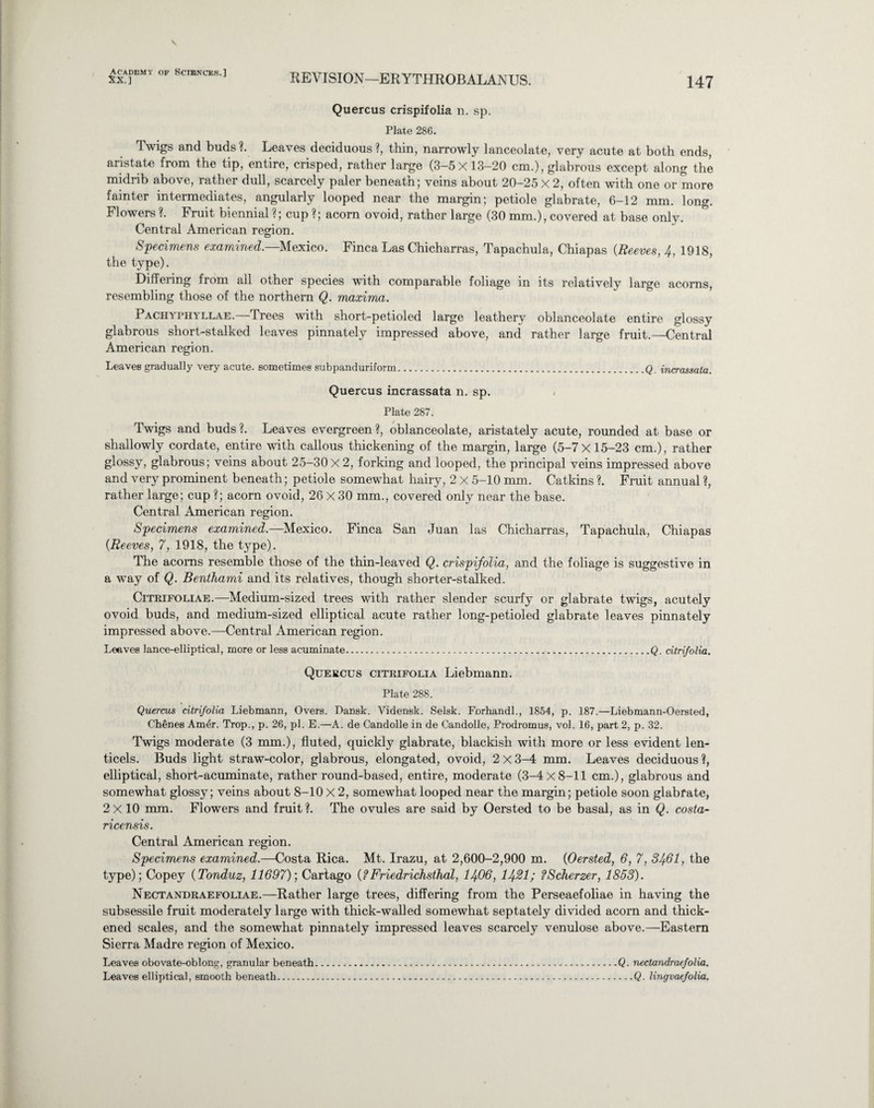 XX.] REVISION—ERYTHROB ALAiN US. 147 Quercus crispifolia n. sp. Plate 286. Twigs and buds ?. Leaves deciduous ?, thin, narrowly lanceolate, very acute at both ends, aristate from the tip, entire, crisped, rather large (3-5 X 13-20 cm.), glabrous except along the midrib above, rather dull, scarcely paler beneath; veins about 20-25 X 2, often with one or more fainter intermediates, angularly looped near the margin; petiole glabrate, 6-12 mm. long. Flowers ?. Fruit biennial ?; cup ?; acorn ovoid, rather large (30 mm.), covered at base only. Central American region. Specimens examined.—Mexico. Finca Las Chicharras, Tapachula, Chiapas {Reeves, 4, 1918, the type). Differing from all other species with comparable foliage in its relatively large acorns, resembling those of the northern Q. maxima. Pachyphyllae.—Trees with short-petioled large leathery oblanceolate entire glossy glabrous short-stalked leaves pinnately impressed above, and rather large fruit.—Central American region. Leaves gradually very acute, sometimes subpanduriform.Q. incrassata. Quercus incrassata n. sp. Plate 287. Twigs and buds?. Leaves evergreen?, oblanceolate, aristately acute, rounded at base or shallowly cordate, entire with callous thickening of the margin, large (5-7x15-23 cm.), rather glossy, glabrous; veins about 25-30x2, forking and looped, the principal veins impressed above and very prominent beneath; petiole somewhat hairy, 2 X 5-10 mm. Catkins ?. Fruit annual ?, rather large; cup ?; acorn ovoid, 26 X 30 mm., covered only near the base. Central American region. Specimens examined.—Mexico. Finca San Juan las Chicharras, Tapachula, Chiapas {Reeves, 7, 1918, the type). The acorns resemble those of the thin-leaved Q. crispifolia, and the foliage is suggestive in a w^ay of Q. Benthami and its relatives, though shorter-stalked. Citrifoliae.—Medium-sized trees with rather slender scurfy or glabrate twigs, acutely ovoid buds, and medium-sized elliptical acute rather long-petioled glabrate leaves pinnately impressed above.—Central American region. Leaves lance-elliptical, more or less acuminate.Q. citrifolia. Quercus citrifolia Liebmann. Plate 288. Quercus citrifolia Liebmann, Overs. Dansk. Vidensk. Selsk. Forhandl., 1854, p. 187.—Liebmann-Oersted, Chenes Amer. Trop., p. 26, pi. E.—A. de Candolle in de Candolle, Prodromus, vol. 16, part 2, p. 32. Twigs moderate (3 mm.), fluted, quickly glabrate, blackish with more or less evident len- ticels. Buds light straw-color, glabrous, elongated, ovoid, 2 X 3-4 mm. Leaves deciduous ?, elliptical, short-acuminate, rather round-based, entire, moderate (3-4x8-11 cm.), glabrous and somewhat glossy; veins about 8-10 X 2, somewhat looped near the margin; petiole soon glabrate, 2x 10 mm. Flowers and fruit?. The ovules are said by Oersted to be basal, as in Q. costa- ricensis. Central American region. Specimens examined.—Costa Rica. Mt. Irazu, at 2,600-2,900 m. {Oersted, 6, 7, 34-61, the type); Copey {Tonduz, 11697)', Cartago {?Friedrichsthal, 1406, 1431; fScherzer, 1853). Nectandraefoliae.—Rather large trees, differing from the Perseaefoliae in having the subsessile fruit moderately large with thick-walled somewhat septately divided acorn and thick¬ ened scales, and the somewhat pinnately impressed leaves scarcely venulose above.—Eastern Sierra Madre region of Mexico. Leaves obovate-oblong, granular beneath.Q. nectandraefolia. Leaves elliptical, smooth beneath.Q. lingvaefolia.