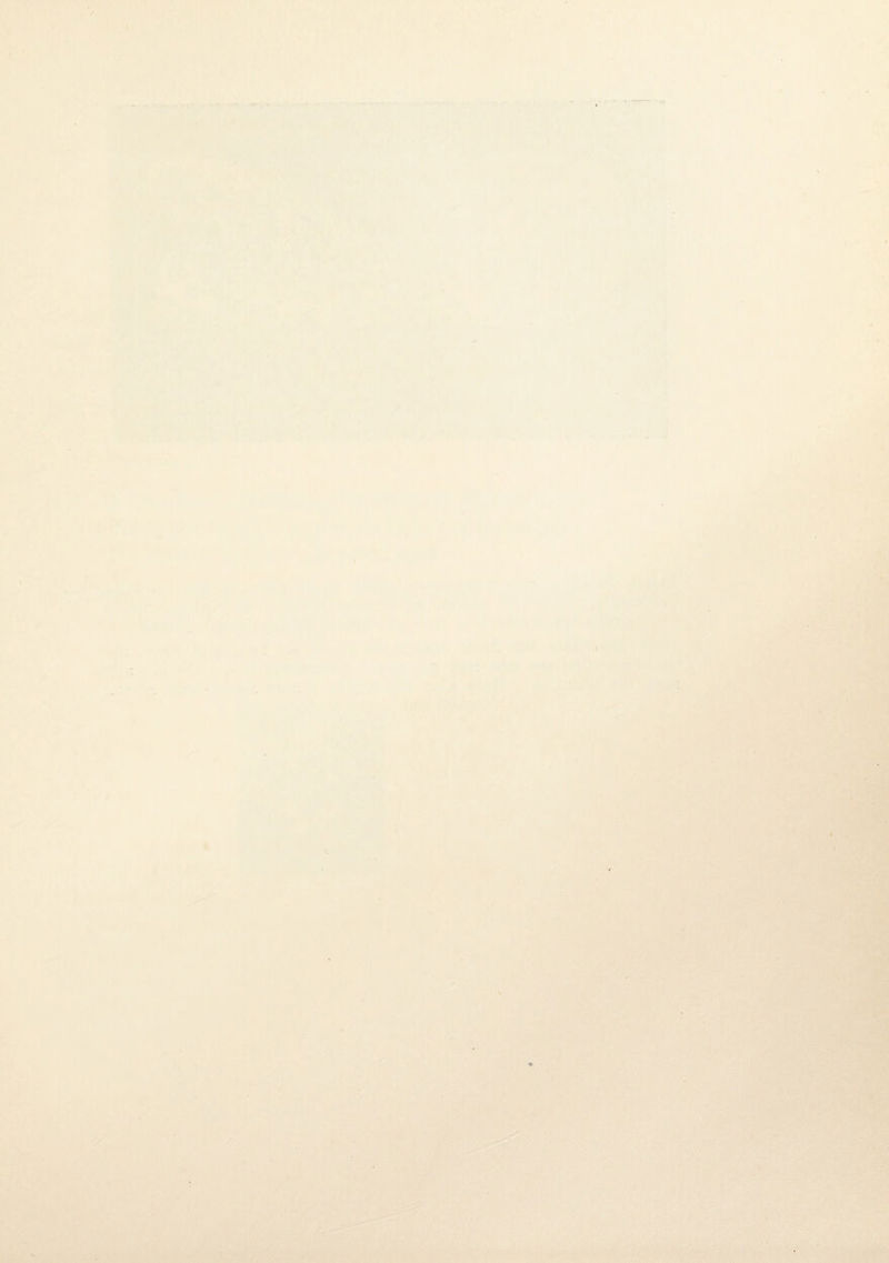 •- • • ' - yj-o-v'—r l} ' > ■