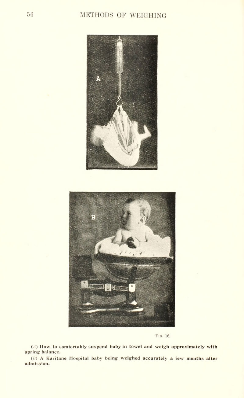 l-’io. 16. (.1) How to comfortably suspend baby in towel and weigh approximately with spring balance. (It) A Karitane Hospital baby being weighed accurately a few months after admission.
