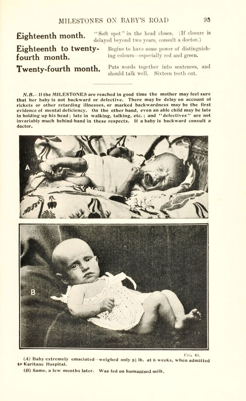 Eighteenth month. Soft spot” in the head closes. (If closure is delayed beyond two years, consult a doctor.) Eighteenth to twenty- fourth month. Twenty-fourth month. Begins to have some power of distinguish¬ ing colours—especially red and green. Puts words together into sentences, and should talk well. Sixteen teeth cut. N.B. If the MILESTONES are reached in good time the mother may feel sure that her baby is not backward or defective. There may be delay on account of rickets or other retarding illnesses, or marked backwardness may be the first evidence of mental deficiency. On the other hand, even an able child may be late in holding up his head ; late in walking, talking, etc.; and defectives” are not invariably much behind hand in these respects. If a baby is backward consult a doctor. Fig. 43. (.4) Baby extremely emaciated—weighed only 5J lb. at 0 weeks, when admitted to Karitanc Hospital. (B) Same, a few months later. Was fed on humanised milk.