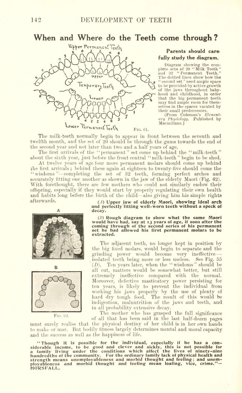 When and Where do the Teeth come through ? Parents should care- fully study the diagram. Diagram showing the com¬ plete sets of 20 “Milk Teeth and 32 “Permanent Teeth. The dotted lines show how the “ second set need ample space to be provided by active growth of the jaws throughout baby¬ hood and childhood, in order that the big permanent teeth may find ample room for them¬ selves in the spaces vacated by their small predecessors. (Prom Coleman's Element¬ ary Physiology. Published by Macmillans.) The milk-teeth normally begin to appear in front between the seventh and twelfth month, and the set of 20 should be through the gums towards the end of the second year and not later than two and a half years of age. The first arrivals of the “permanent” set come up behind the “milk-teeth ” about the sixth year, just before the front central “milk-teeth” begin to be shed. At twelve years of age four more permanent molars should come up behind (he first arrivals ; behind these again at eighteen to twenty-five should come the “wisdoms”—completing the set of 32 teeth, forming perfect arches and accurately fitting one another as shown in the jaw of the elderly Maori (Fig. 62). With forethought, there are few mothers who could not similarly endow their offspring, especially if they would start by properly regulating their own health and habits long before the birth of the child-- also giving him his simple rights (A) Upper jaw of elderly Maori, showing ideal arch and perfectly fitting well-worn teeth without a speck of decay. afterwards. A (B) Rough diagram to show what the same Maori would have had, say at 13 years of age, if soon after the coming through of the second series of his permanent set he had allowed his first permanent molars to be extracted. The adjacent teeth, no longer kept in position by the big fixed molars, would begin to separate and the grinding power would become very ineffective — isolated teeth being more or less useless. See Fig. 55 (I)). Ten years later, when the “ wisdoms ” should be all cut, matters would be somewhat better, but still extremely ineffective compared with the normal. Moreover, defective masticatory power persisting for ten years, is likely to prevent the individual from working his jaws properly by the use of plenty of hard dry tough food. The result of this would be indigestion, malnutrition of the jaws and teeth, and in all probability extensive decay. The mother who has grasped the full significance of all that has been said in the last half-dozen pages must surely realise that the physical destiny of her child is in her own hands to make or mar. But bodily fitness largely determines mental and moral capacity and the success as well as the happiness of life. “Though it is possible for the individual, especially if he has a con¬ siderable income, to be good and clever and sickly, this is not possible for a family living under the conditions which affect the lives of ninety-nine hundredths of tlie community. For the ordinary family lack of physical health and strength means unemployableness and morbid thought and feeling; and unem¬ ployableness and morbid thought and feeling mean loafing, vice, crime.” — HORSFALL.