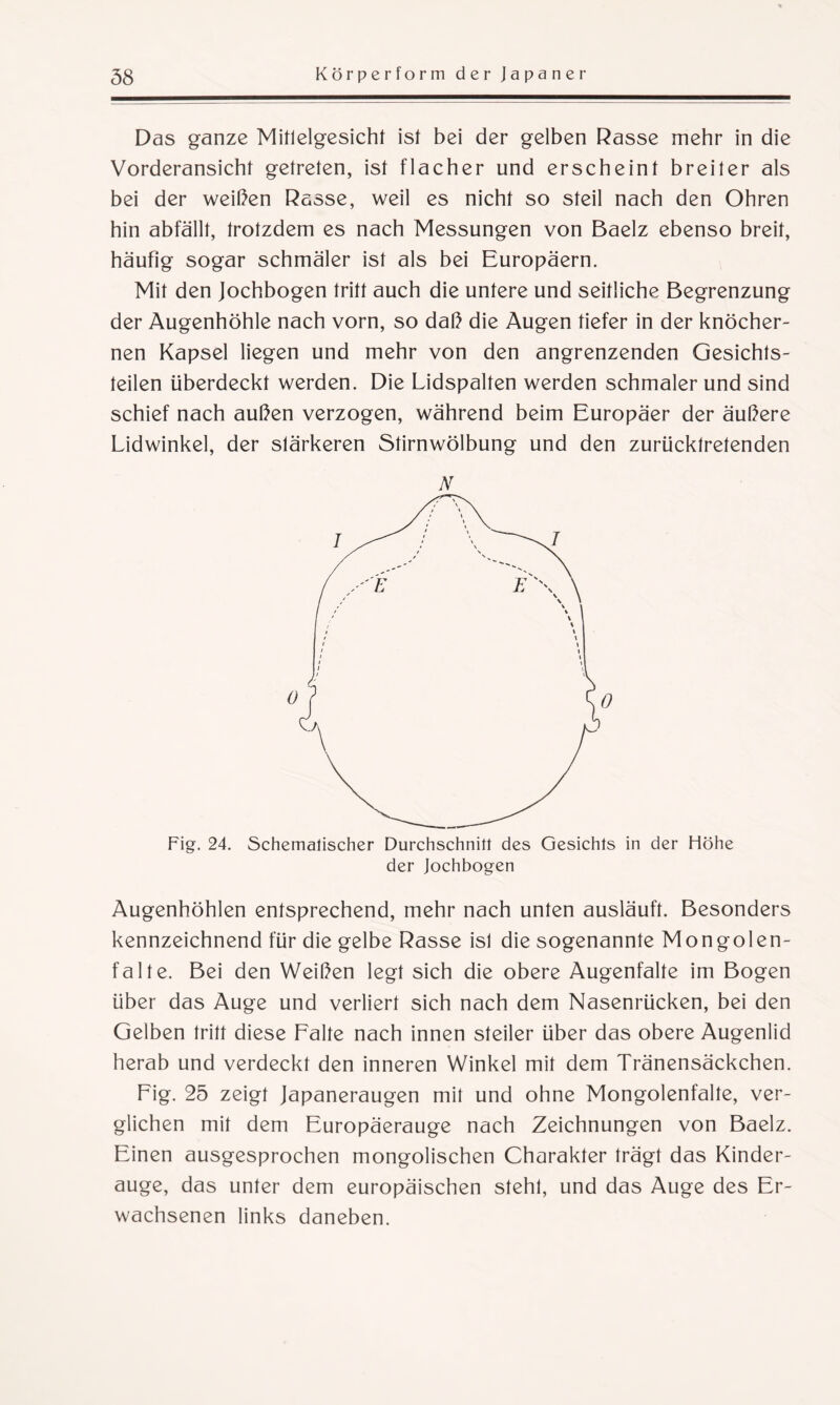 Das ganze Mitlelgesicht ist bei der gelben Rasse mehr in die Vorderansicht getreten, ist flacher und erscheint breiter als bei der weißen Rasse, weil es nicht so steil nach den Ohren hin abfällt, trotzdem es nach Messungen von Baelz ebenso breit, häufig sogar schmäler ist als bei Europäern. Mit den Jochbogen tritt auch die untere und seitliche Begrenzung der Augenhöhle nach vorn, so daß die Augen tiefer in der knöcher¬ nen Kapsel liegen und mehr von den angrenzenden Gesichts¬ teilen überdeckt werden. Die Lidspalten werden schmaler und sind schief nach außen verzogen, während beim Europäer der äußere Lidwinkel, der stärkeren Stirnwölbung und den zurücktretenden N Fig. 24. Schematischer Durchschnitt des Gesichts in der Höhe der Jochbogen Augenhöhlen entsprechend, mehr nach unten ausläuft. Besonders kennzeichnend für die gelbe Rasse isl die sogenannte Mongolen¬ falte. Bei den Weißen legt sich die obere Augenfalte im Bogen über das Auge und verliert sich nach dem Nasenrücken, bei den Gelben tritt diese Falte nach innen steiler über das obere Augenlid herab und verdeckt den inneren Winkel mit dem Tränensäckchen. Fig. 25 zeigt Japaneraugen mit und ohne Mongolenfalte, ver¬ glichen mit dem Europäerauge nach Zeichnungen von Baelz. Einen ausgesprochen mongolischen Charakter trägt das Kinder¬ auge, das unter dem europäischen stehl, und das Auge des Er¬ wachsenen links daneben.