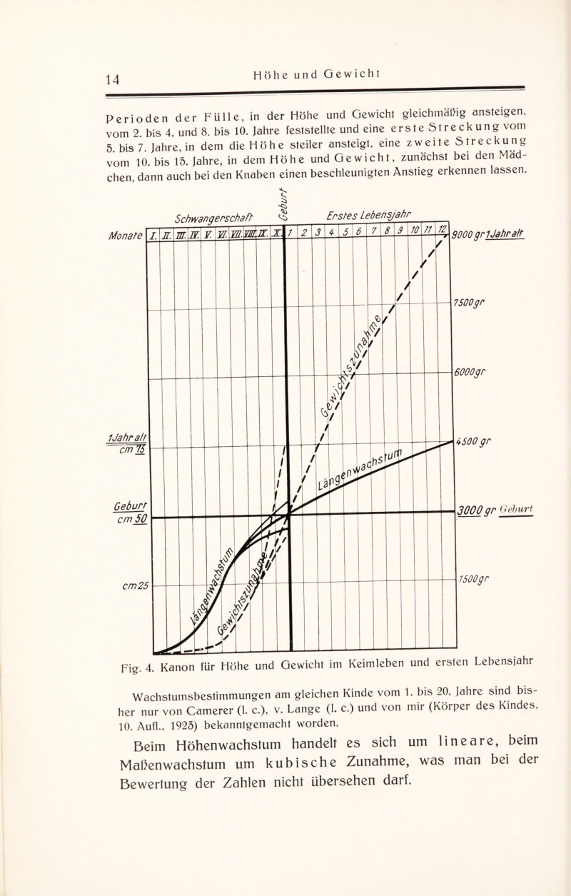Perioden der Fülle, in der Höhe und Gewicht gleichmäßig ansteigen, vom 2. bis 4. und 8. bis 10. Jahre feststellte und eine erste Streckung vom 5. bis 7. Jahre, in dem die Höhe steiler ansteigt, eine zweite Streckung vom 10. bis 15. Jahre, in dem Höhe und Gewicht, zunächst bei den Mäd¬ chen, dann auch bei den Knaben einen beschleunigten Anstieg erkennen lassen. Wachstumsbestimmungen am gleichen Kinde vom 1. bis 20. Jahre sind bis¬ her nur von Camerer (1. c.), v. Lange (1. c.) und von mir (Körper des Kindes, 10. Aufl., 1925) bekanntgemacht worden. Beim Höhenwachstum handelt es sich um lineare, beim Maßenwachstum um kubische Zunahme, was man bei der Bewertung der Zahlen nicht übersehen darf.