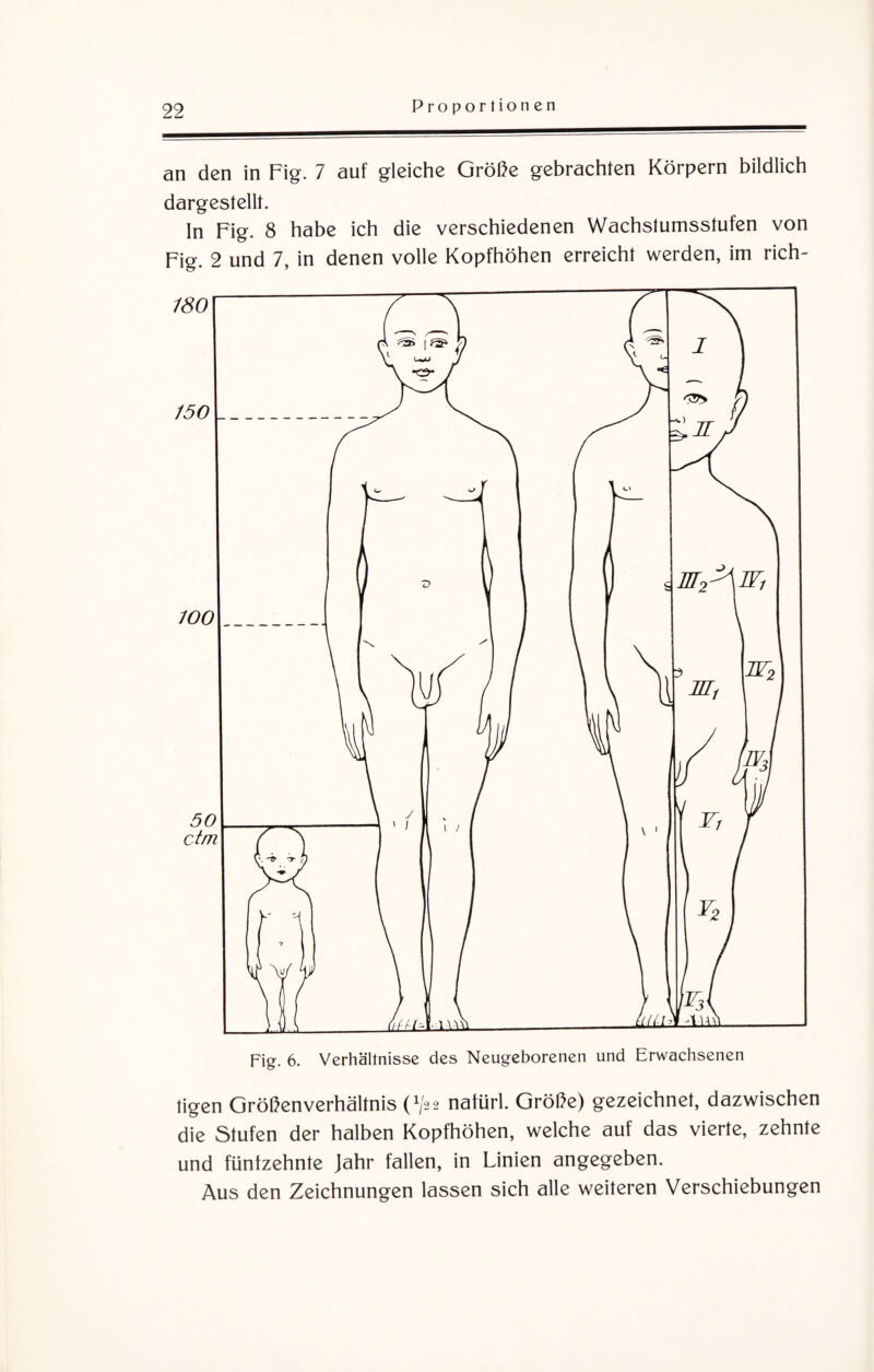 an den in Fig. 7 auf gleiche Größe gebrachten Körpern bildlich dargestellt. ln Fig. 8 habe ich die verschiedenen Wachstumsstufen von Fig. 2 und 7, in denen volle Kopfhöhen erreicht werden, im rich¬ tigen Größenverhältnis p/22 natürl. Größe) gezeichnet, dazwischen die Stufen der halben Kopfhöhen, welche auf das vierte, zehnte und fünfzehnte Jahr fallen, in Linien angegeben. Aus den Zeichnungen lassen sich alle weiteren Verschiebungen