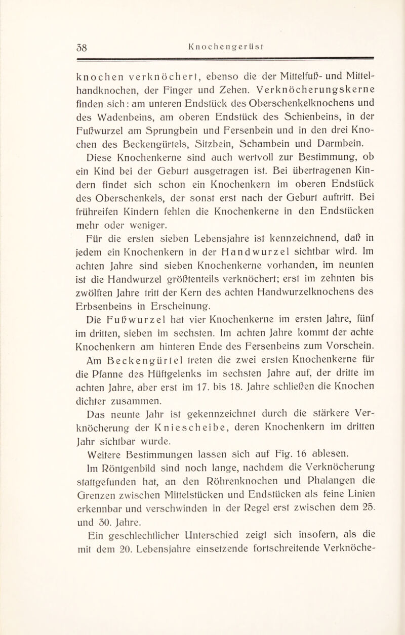 knochen verknöchert, ebenso die der Mittelfuß- und Mittel¬ handknochen, der Finger und Zehen. Verknöcherungskerne finden sich: am unteren Endstück des Oberschenkelknochens und des Wadenbeins, am oberen Endstück des Schienbeins, in der Fußwurzel am Sprungbein und Fersenbein und in den drei Kno¬ chen des Beckengürtels, Sitzbein, Schambein und Darmbein. Diese Knochenkerne sind auch wertvoll zur Bestimmung, ob ein Kind bei der Geburt ausgetragen ist. Bei übertragenen Kin¬ dern findet sich schon ein Knochenkern im oberen Endstück des Oberschenkels, der sonst erst nach der Geburt auftritt. Bei frühreifen Kindern fehlen die Knochenkerne in den Endstücken mehr oder weniger. Für die ersten sieben Lebensjahre ist kennzeichnend, daß in jedem ein Knochenkern in der Handwurzel sichtbar wird. Im achten Jahre sind sieben Knochenkerne vorhanden, im neunten ist die Handwurzel größtenteils verknöchert; erst im zehnten bis zwölften Jahre tritt der Kern des achten Handwurzelknochens des Erbsenbeins in Erscheinung. Die Fußwurzel hat vier Knochenkerne im ersten Jahre, fünf im dritten, sieben im sechsten. Im achten Jahre kommt der achte Knochenkern am hinteren Ende des Fersenbeins zum Vorschein. Am Beckengürtel treten die zwei ersten Knochenkerne für die Pfanne des Hüftgelenks im sechsten Jahre auf, der dritte im achten Jahre, aber erst im 17. bis 18. Jahre schließen die Knochen dichter zusammen. Das neunte Jahr ist gekennzeichnet durch die stärkere Ver¬ knöcherung der Kniescheibe, deren Knochenkern im dritten Jahr sichtbar wurde. Weitere Bestimmungen lassen sich auf Fig. 16 ablesen. Im Rönlgenbild sind noch lange, nachdem die Verknöcherung stattgefunden hat, an den Röhrenknochen und Phalangen die Grenzen zwischen Mittelstücken und Endstücken als feine Linien erkennbar und verschwinden in der Regel erst zwischen dem 25. und 50. Jahre. Ein geschlechtlicher Unterschied zeigt sich insofern, als die mit dem 20. Lebensjahre einsetzende fortschreitende Verknöche-