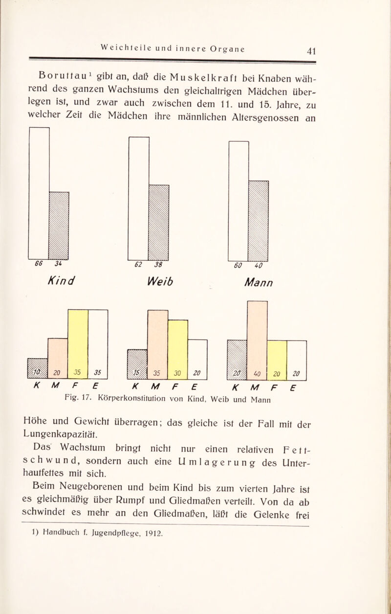 Borutta u 1 gib! an, daß die Muskelkraft bei Knaben wäh¬ rend des ganzen Wachstums den gleichaltrigen Mädchen über¬ legen ist, und zwar auch zwischen dem 11. und 15. Jahre, zu welcher Zeit die Mädchen ihre männlichen Altersgenossen an Kind Weib fei 60 W Mann Fig. 17. Körperkonstitution von Kind, Weib und Mann Höhe und Gewicht überragen; das gleiche ist der Fall mit der Lungenkapazität. Das Wachstum bringt nicht nur einen relativen Fett¬ schwund, sondern auch eine Umlagerung des Unter¬ hautfettes mit sich. Beim Neugeborenen und beim Kind bis zum vierten Jahre ist es gleichmäßig über Rumpf und Gliedmaßen verteilt. Von da ab schwindet es mehr an den Gliedmaßen, läßt die Gelenke frei 1) Handbuch f. Jugendpflege, 1912.