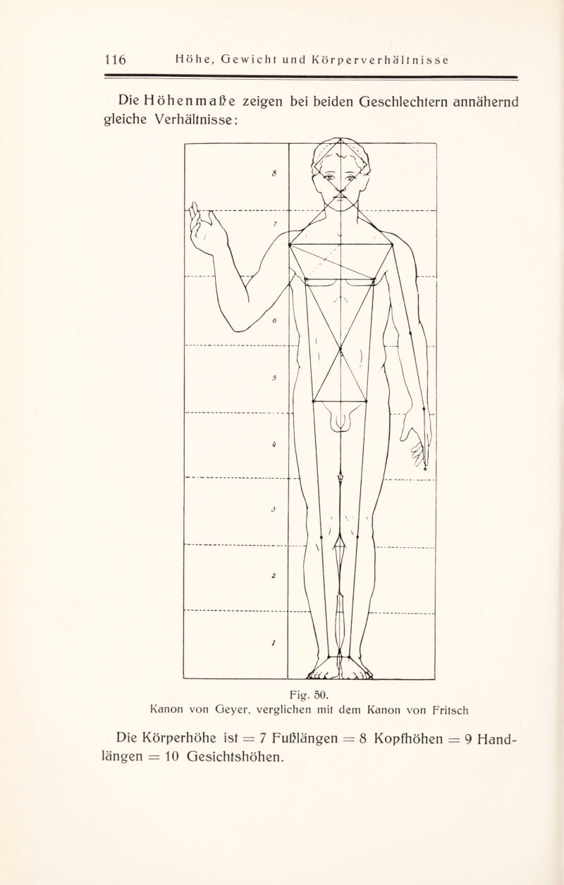 Die Höhenmaße zeigen bei beiden Geschlechtern annähernd gleiche Verhältnisse: Fig. 50. Kanon von Geyer, verglichen mit dem Kanon von Fritsch Die Körperhöhe ist = 7 Fußlängen = 8 Kopfhöhen = 9 Hand¬ längen = 10 Gesichtshöhen.