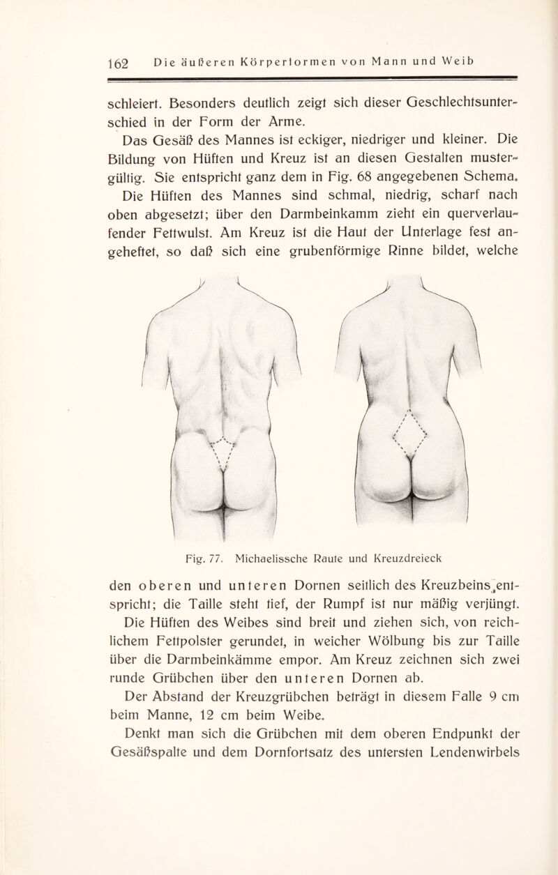 schieiert. Besonders deutlich zeigt sich dieser Geschlechtsunter¬ schied in der Form der Arme. Das Gesäß des Mannes ist eckiger, niedriger und kleiner. Die Bildung von Hüften und Kreuz ist an diesen Gestalten muster« gültig. Sie entspricht ganz dem in Fig. 68 angegebenen Schema. Die Hüften des Mannes sind schmal, niedrig, scharf nach oben abgesetzt; über den Darmbeinkamm zieht ein querverlau« fender Fettwulst. Am Kreuz ist die Haut der Unterlage fest an¬ geheftet, so daß sich eine grubenförmige Rinne bildet, welche Fig. 77. Michaelissche Raute und Kreuzdreieck den oberen und unteren Dornen seitlich des Kreuzbeins ent- ui spricht; die Taille steht tief, der Rumpf ist nur mäßig verjüngt. Die Hüften des Weibes sind breit und ziehen sich, von reich¬ lichem Fettpolster gerundet, in weicher Wölbung bis zur Taille über die Darmbeinkämme empor. Am Kreuz zeichnen sich zwei runde Grübchen über den unteren Dornen ab. Der Abstand der Kreuzgrübchen beträgt in diesem Falle 9 cm beim Manne, 12 cm beim Weibe. Denkt man sich die Grübchen mit dem oberen Endpunkt der Gesäßspalte und dem Dornfortsatz des untersten Lendenwirbels