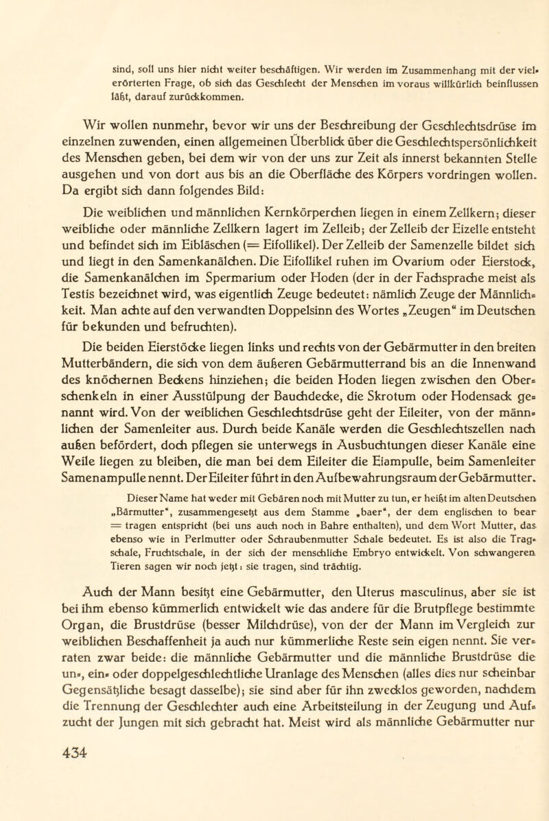 sind, soll uns hier nicht weiter beschäftigen. Wir werden im Zusammenhang mit der viel* erörterten Frage, ob sich das Geschlecht der Menschen im voraus willkürlich beinflussen läfjt, darauf zurückkommen. Wir wollen nunmehr, bevor wir uns der Beschreibung der Geschlechtsdrüse im einzelnen zuwenden, einen allgemeinen Überblick über die Geschlechtspersönlichkeit des Menschen geben, bei dem wir von der uns zur Zeit als innerst bekannten Stelle ausgehen und von dort aus bis an die Oberfläche des Körpers Vordringen wollen. Da ergibt sich dann folgendes Bild: Die weiblichen und männlichen Kernkörperchen liegen in einem Zellkern; dieser weibliche oder männliche Zellkern lagert im Zelleib; derZelleib der Eizelle entsteht und befindet sich im Eibläschen (= Eifollikel). Der Zelleib der Samenzelle bildet sich und liegt in den Samenkanälchen. Die Eifollikel ruhen im Ovarium oder Eierstock, die Samenkanälchen im Spermarium oder Hoden (der in der Fachsprache meist als Testis bezeichnet wird, was eigentlich Zeuge bedeutet: nämlich Zeuge der Männlich* keit. Man achte auf den verwandten Doppelsinn des Wortes „Zeugen“ im Deutschen für bekunden und befruchten). Die beiden Eierstöcke liegen links und rechts von der Gebärmutter in den breiten Mutterbändern, die sich von dem äußeren Gebärmutterrand bis an die Innenwand des knöchernen Beckens hinziehen; die beiden Hoden liegen zwischen den Ober* Schenkeln in einer Ausstülpung der Bauchdecke, die Skrotum oder Hodensack ge* nannt wird. Von der weiblichen Geschlechtsdrüse geht der Eileiter, von der rnänn* liehen der Samenleiter aus. Durch beide Kanäle werden die Geschlechtszellen nach außen befördert, doch pflegen sie unterwegs in Ausbuchtungen dieser Kanäle eine Weile liegen zu bleiben, die man bei dem Eileiter die Eiampulle, beim Samenleiter Samenampulle nennt. Der Eileiter führt in den Aufbewahrungsraum der Gebärmutter. Dieser Name hat weder mit Gebären noch mit Mutter zu tun, er heifjt im alten Deutschen „Bärmutter“, zusammengeseht aus dem Stamme „baer“, der dem englischen to bear = tragen entspricht (bei uns auch noch in Bahre enthalten), und dem Wort Mutter, das ebenso wie in Perlmutter oder Schraubenmutter Schale bedeutet. Es ist also die Trag* schale, Fruchtschale, in der sich der menschliche Embryo entwickelt. Von schwangeren Tieren sagen wir noch jetjt: sie tragen, sind trächtig. Auch der Mann besißt eine Gebärmutter, den Uterus masculinus, aber sie ist bei ihm ebenso kümmerlich entwickelt wie das andere für die Brutpflege bestimmte Organ, die Brustdrüse (besser Milchdrüse), von der der Mann im Vergleich zur weiblichen Beschaffenheit ja auch nur kümmerliche Reste sein eigen nennt. Sie ver* raten zwar beide: die männliche Gebärmutter und die männliche Brustdrüse die un«, ein« oder doppelgeschlechtliche Uranlage des Menschen (alles dies nur scheinbar Gegensäßliche besagt dasselbe); sie sind aber für ihn zwecklos geworden, nachdem die Trennung der Geschlechter auch eine Arbeitsteilung in der Zeugung und Auf« zucht der Jungen mit sich gebracht hat. Meist wird als männliche Gebärmutter nur