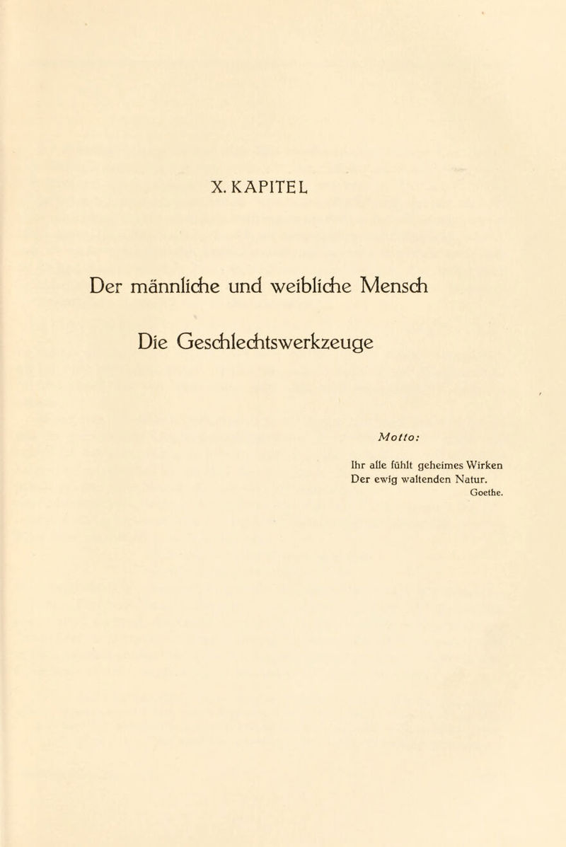 X. KAPITEL Der männliche und weibliche Mensch Die Geschlechtswerkzeuge Motto: Ihr alle fühlt geheimes Wirken Der ewig waltenden Natur. Goethe.