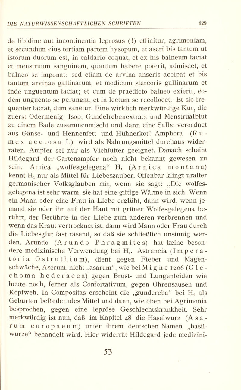 de libidine aut incontinentia leprosus (!) efficitur, agrimoniam, et secundum eius tertiam partem hysopum, et aseri bis tantum ut istorum duorum est, in caldario coquat, et ex his balneum faciat et menstruum sanguinem, quantum habere poterit, admiscet, et balneo se iniponat: sed etiam de arvina anseris accipat et bis tantum arvinae gallinarum, et modicum stercoris gallinarum et inde unguentum faciat; et cum de praedicto balneo exierit, eo- dem unguento se perungat, et in lectum se recollocet. Et sic fre¬ quenter faciat, dum sanetur. Eine wirklich merkwürdige Kur, die zuerst Odermenig, Isop, Gundelrebenextract und Menstrualblut zu einem Bade zusammenmischt und dann eine Salbe verordnet aus Gänse- und Hennenfett und Hühnerkot! Amphora (R u- mex acetosa L) wird als Nahrungsmittel durchaus wider¬ raten. Ampfer sei nur als Viehfutter geeignet. Danach scheint Hildegard der Gartenampfer noch nicht bekannt gewesen zu sein. Arnica „wolfesgelegena“ Hj (Arnica montan a) kennt Ht nur als Mittel für Liebeszauber. Offenbar klingt uralter germanischer Volksglauben mit, wenn sie sagt: „Die wolfes¬ gelegena ist sehr warm, sie hat eine giftige Wärme in sich. Wenn ein Mann oder eine Frau in Liebe erglüht, dann wird, wenn je¬ mand sie oder ihn auf der Haut mit grüner Wolfesgelegena be¬ rührt, der Berührte in der Liebe zum anderen verbrennen und wenn das Kraut vertrocknet ist, dann wird Mann oder Frau durch die Liebesglut fast rasend, so daß sie schließlich unsinnig wer¬ den. Arundo (Arundo Phragmites) hat keine beson¬ dere medizinische Verwendung bei H„ Astrencia (Impera- toria Ostruthium), dient gegen Fieber und Magen¬ schwäche, Aserum, nicht „asarum“, wie bei M i g n e 1206 (G 1 e - choma hederacea) gegen Brust- und Lungenleiden wie heute noch, ferner als Confortativum, gegen Ohrensausen und Kopfweh. In Compositas erscheint die „gundereba“ bei H, als Geburten beförderndes Mittel und dann, wie oben bei Agrimonia besprochen, gegen eine lepröse Geschlechtskrankheit. Sehr merkwürdig ist nun, daß im Kapitel 48 die Haselwurz (A s a - rum europaeum) unter ihrem deutschen Namen „hasil- wurze“ behandelt wird. Hier widerrät Hildegard jede medizini- 53